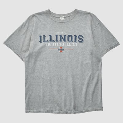 Illinois Fighting Illini Anvil 2000s T-shirt - Heather Gray - S by Fanatics Real Vintage