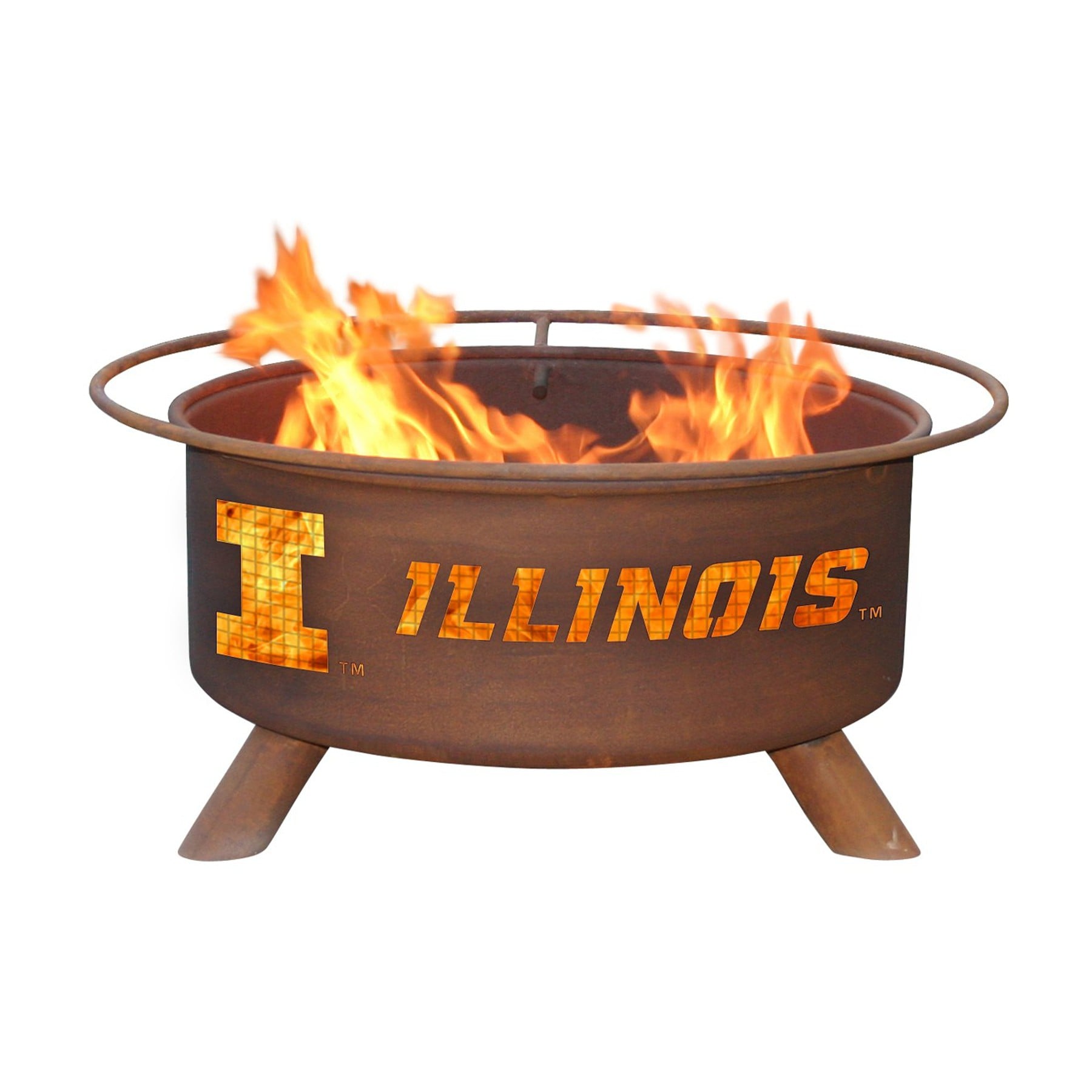 Desert Cactus University Of Illinois Flagge – 90x150 Cm, 100% Polyester, Zweiseitig Bedruckt