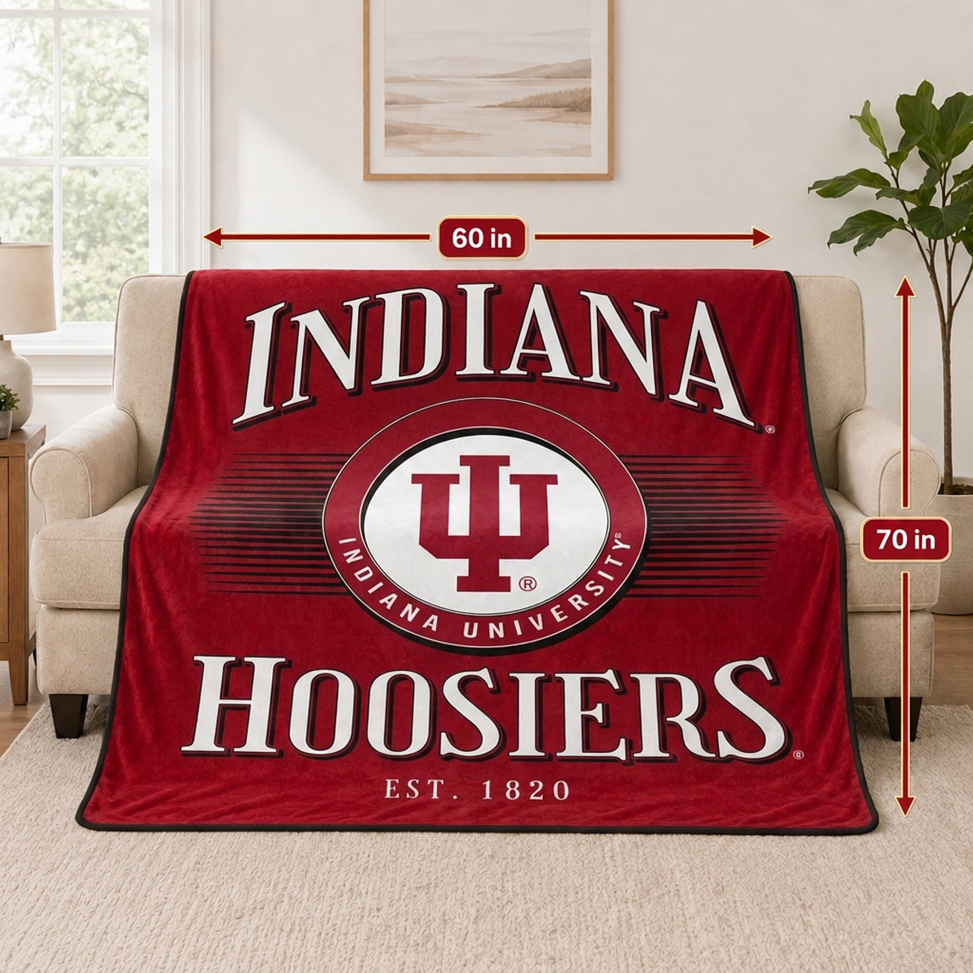 Pegasus Indiana Hoosiers Spotlight Arch 60" x 70" Ultra Soft Throw Blanket