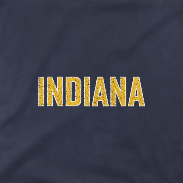  Indiana Pacers Stadium Essentials Unisex Oversized Vintage Wash T-Shirt - Denim - Image 5