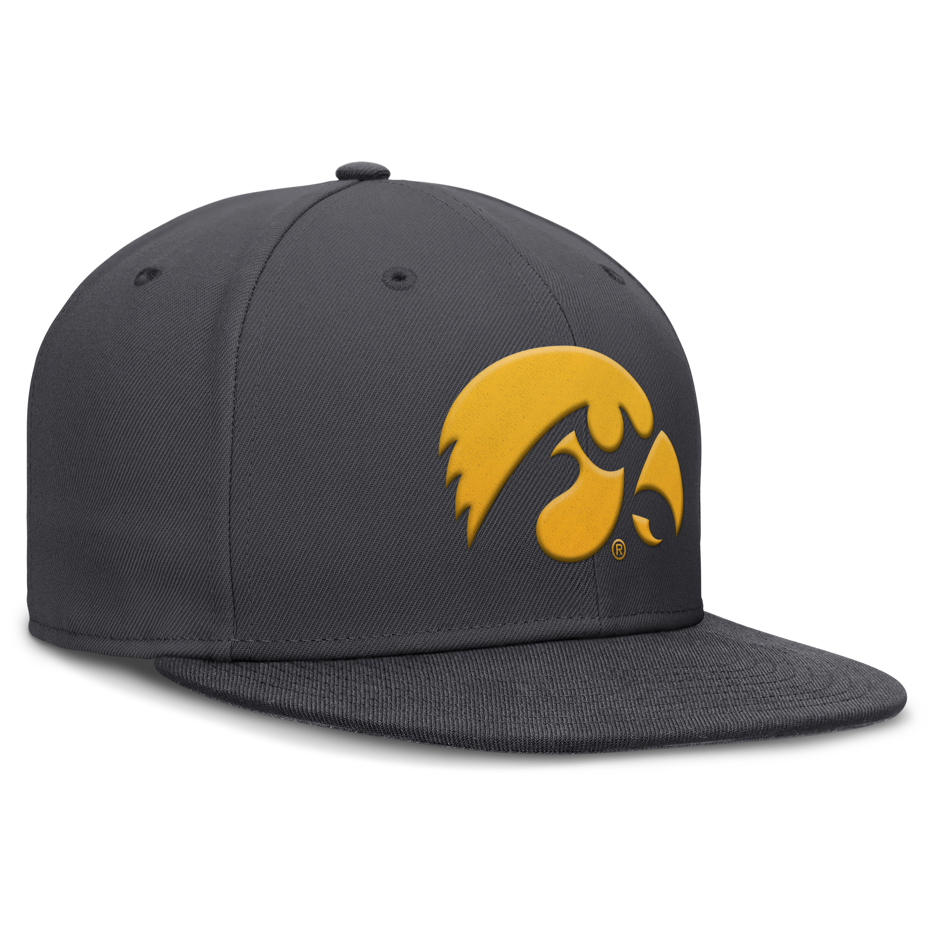 Men's Nike Anthracite Iowa Hawkeyes Pro Dri-FIT Fitted Hat