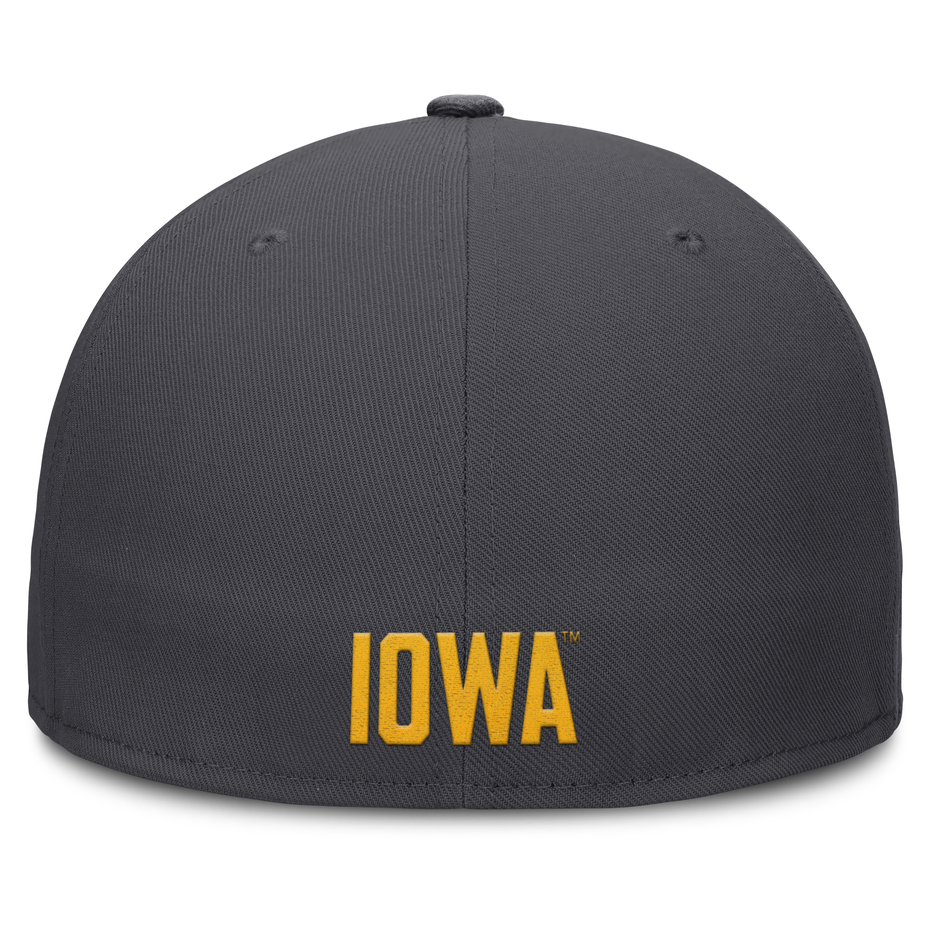 Men's Nike Anthracite Iowa Hawkeyes Pro Dri-FIT Fitted Hat