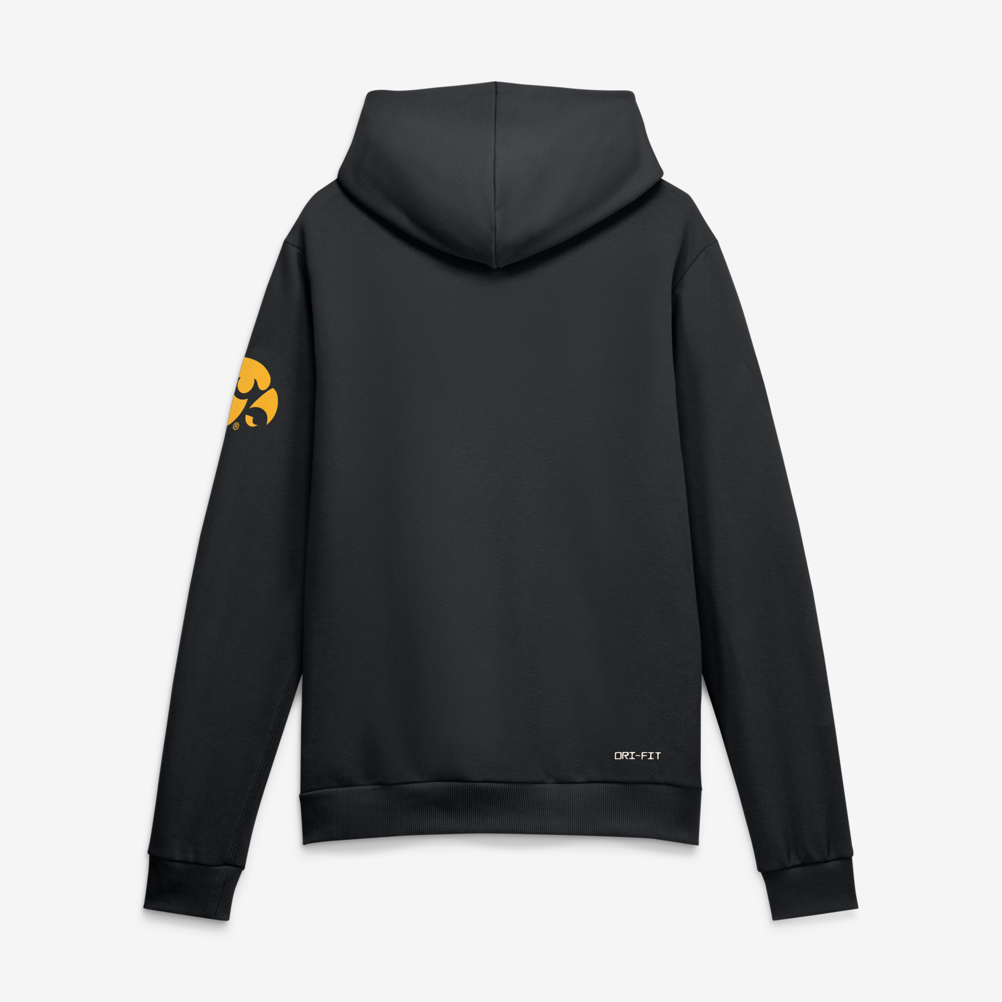 Men's Nike Black Iowa Hawkeyes 2026 Sideline Standard Issue Dri-FIT Hoodie
