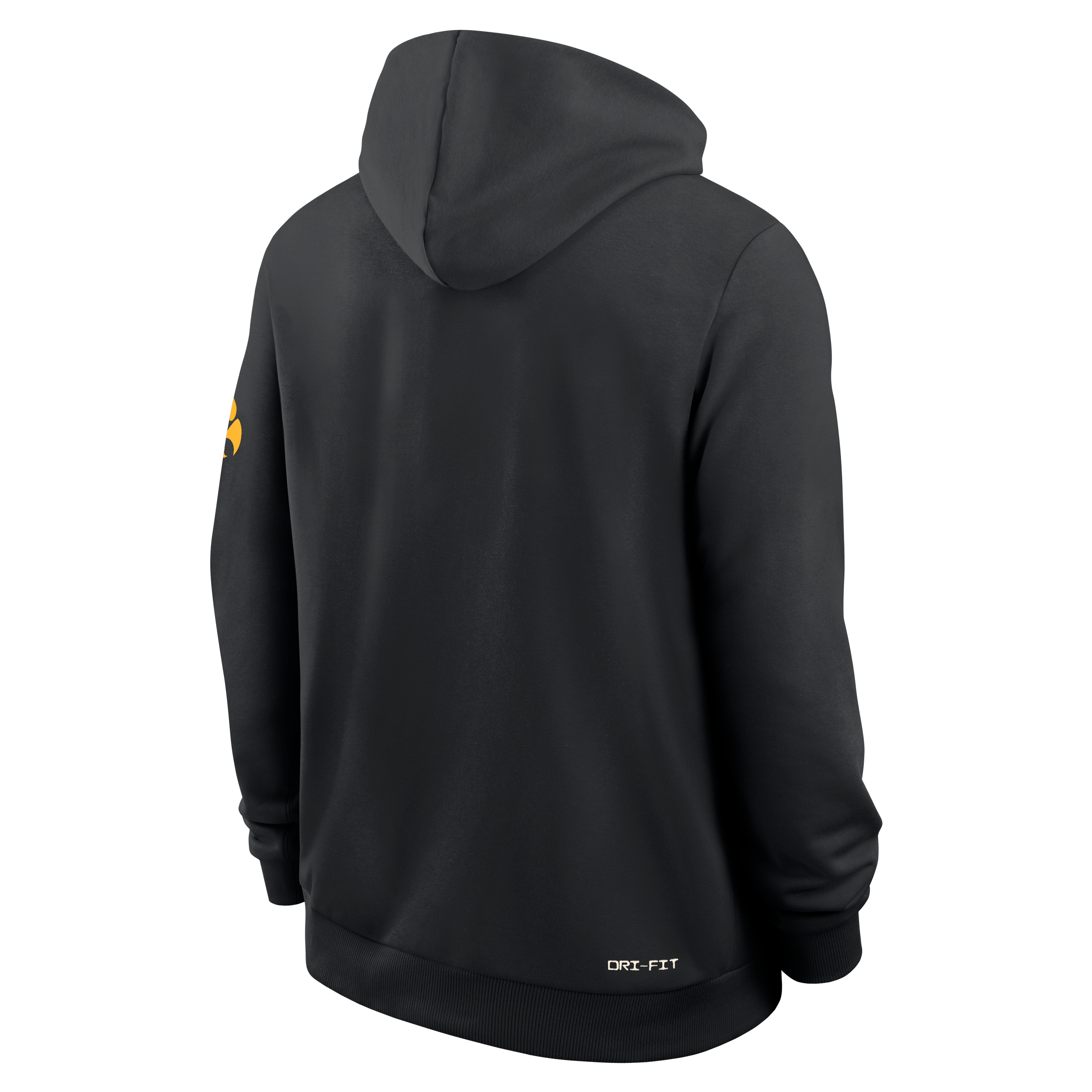 Men's Nike Black Iowa Hawkeyes 2026 Sideline Standard Issue Dri-FIT Hoodie