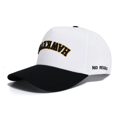 Iowa Hawkeyes No Rivals Unisex Upside Down Classic Colors Adjustable Hat - Natural/Black