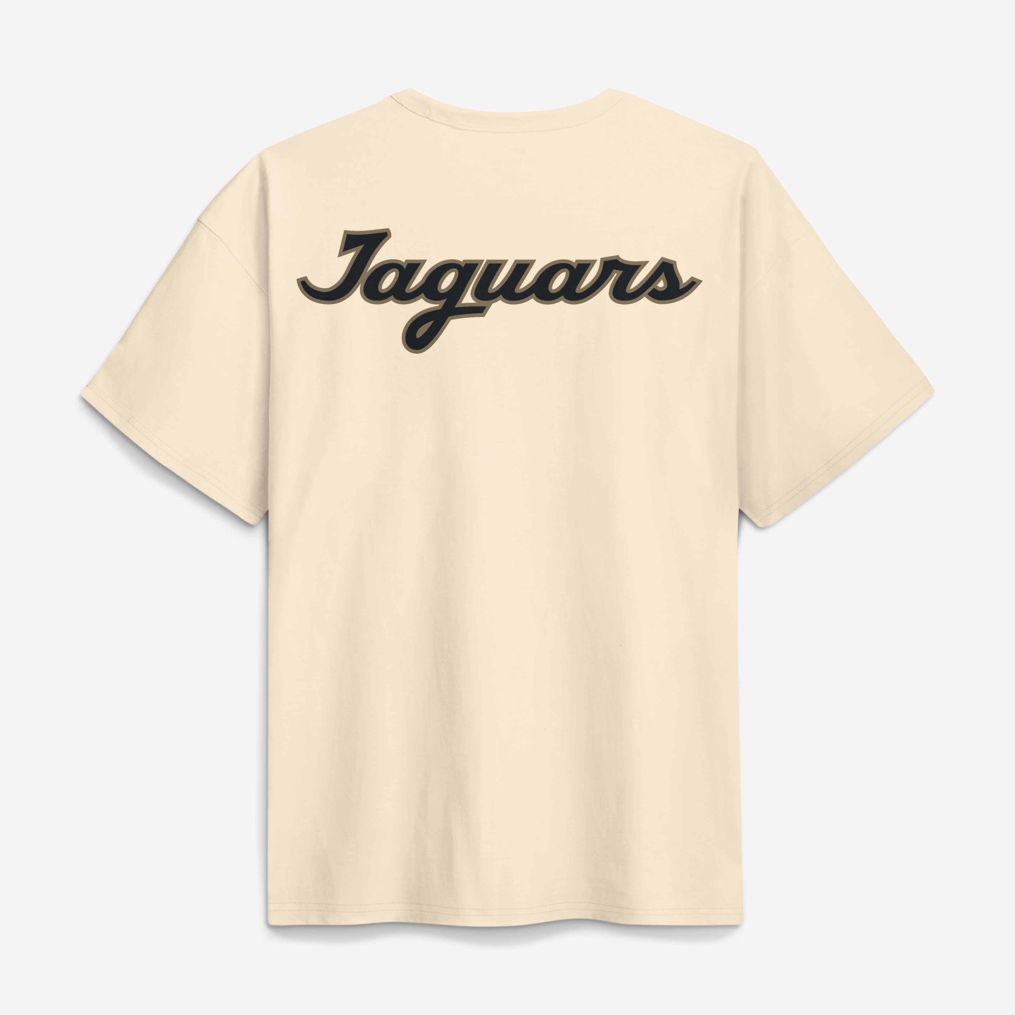 Men's Nike Natural Jacksonville Jaguars 2026 Rivalries Collection Max90 T-Shirt