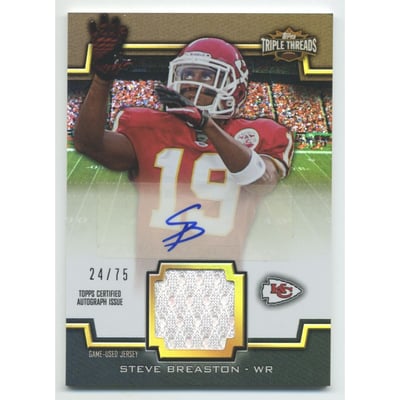 2011 Topps Triple Threads Autographed Unity Relics Sepia #TTUAR2 Steve Breaston