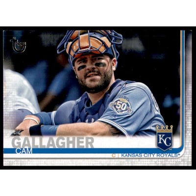 2019 Topps Vintage Stock #666 Cam Gallagher