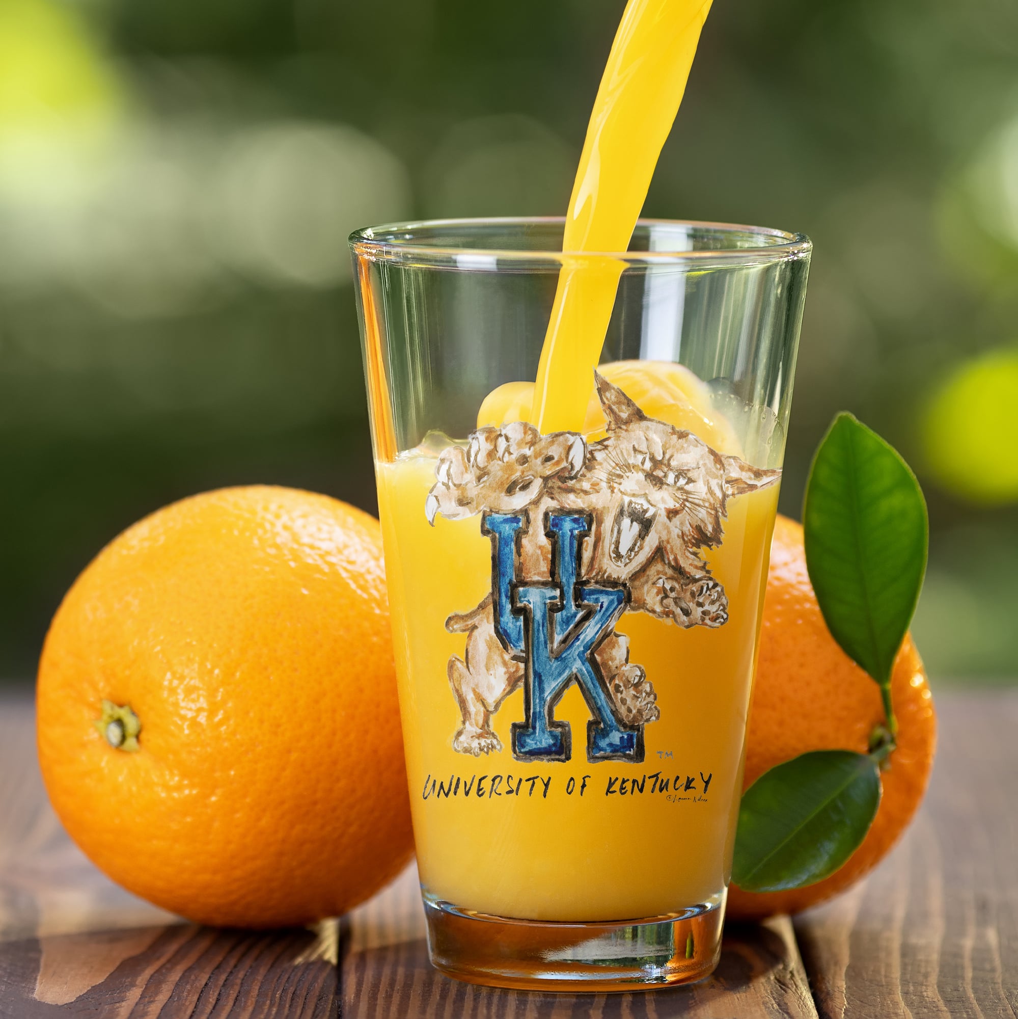 Ensemble de 2 verres à bière à l'effigie de la mascotte Laura Wilcox, les Wildcats du Kentucky d'Indigo Falls