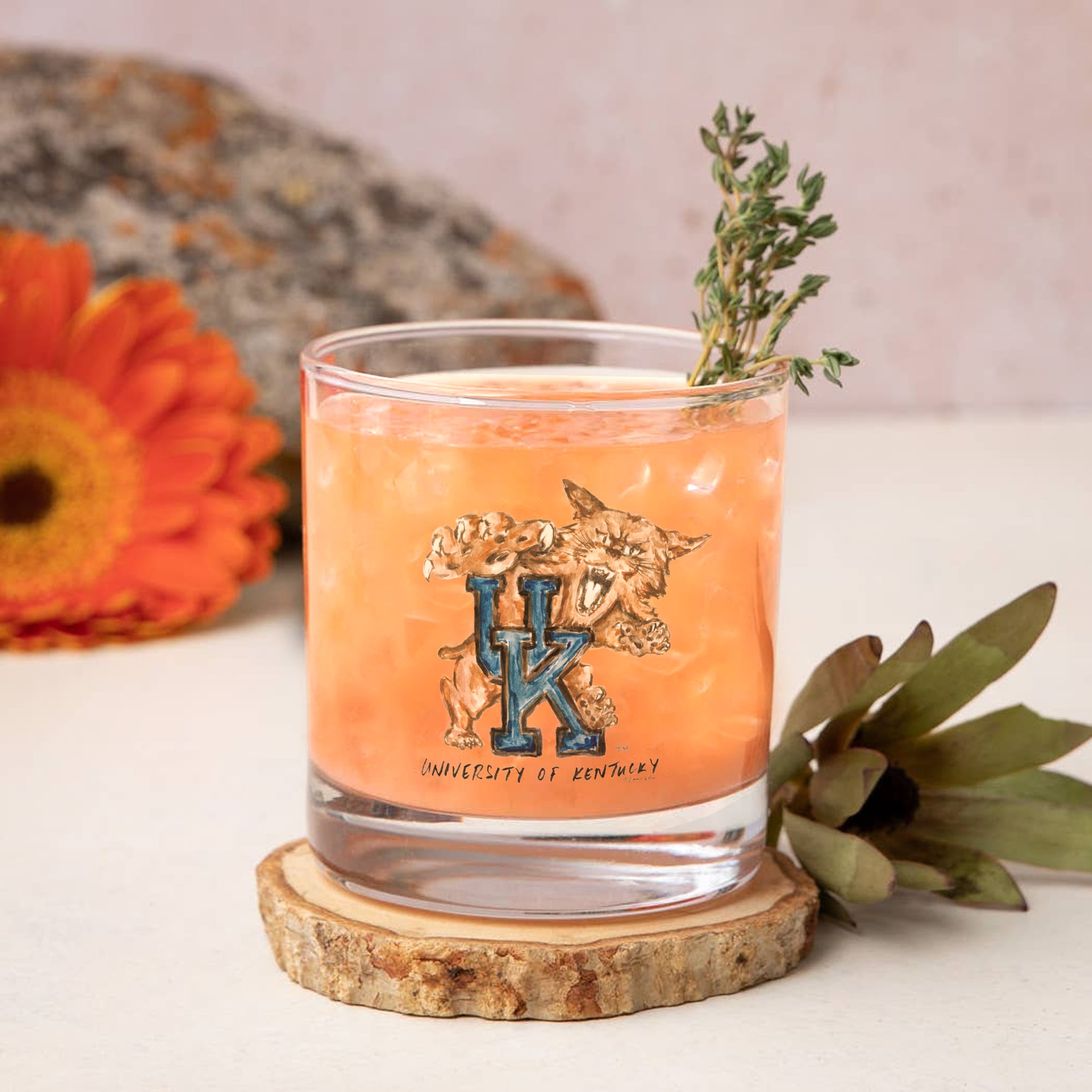 Ensemble de 2 verres à whisky à l'effigie de la mascotte Laura Wilcox des Indigo Falls Kentucky Wildcats