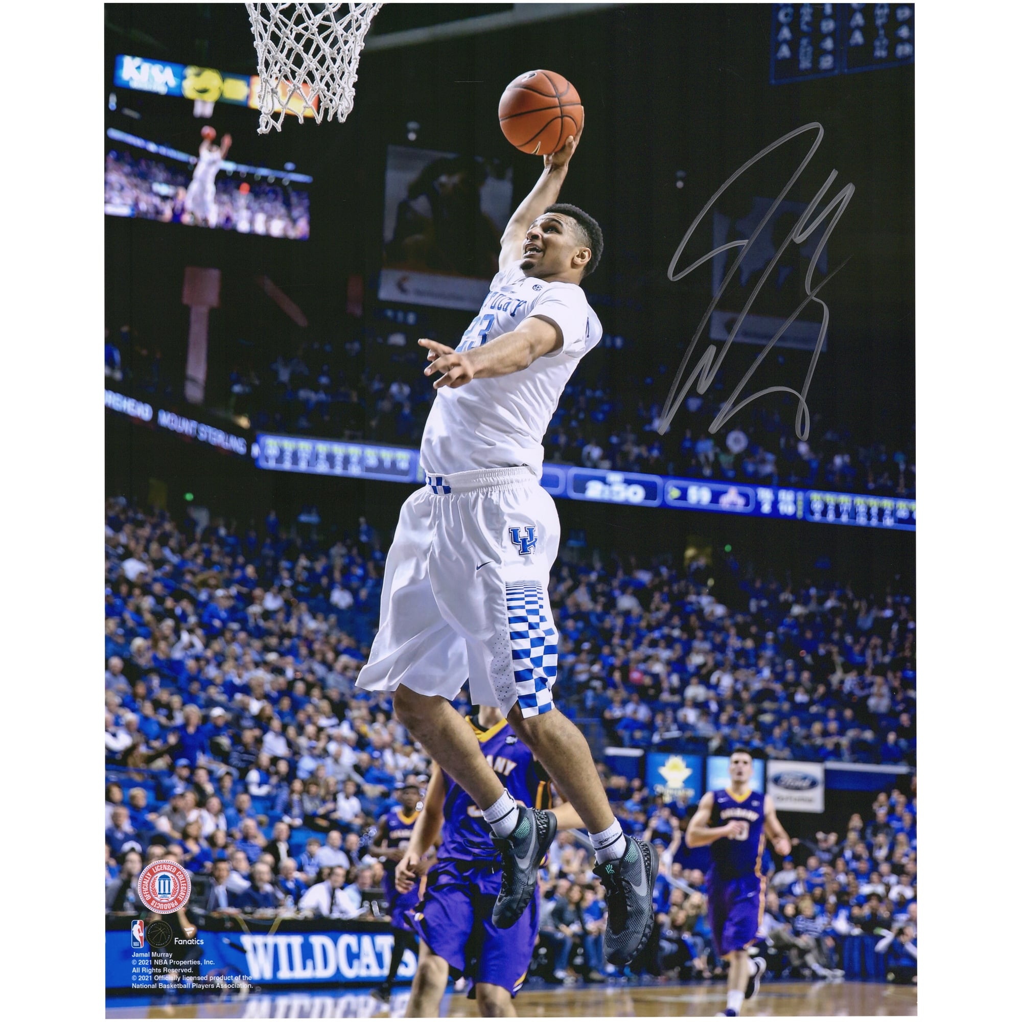 Photo dédicacée de Jamal Murray (Kentucky Wildcats) - Dunk en blanc (40,6 x 50,8 cm)