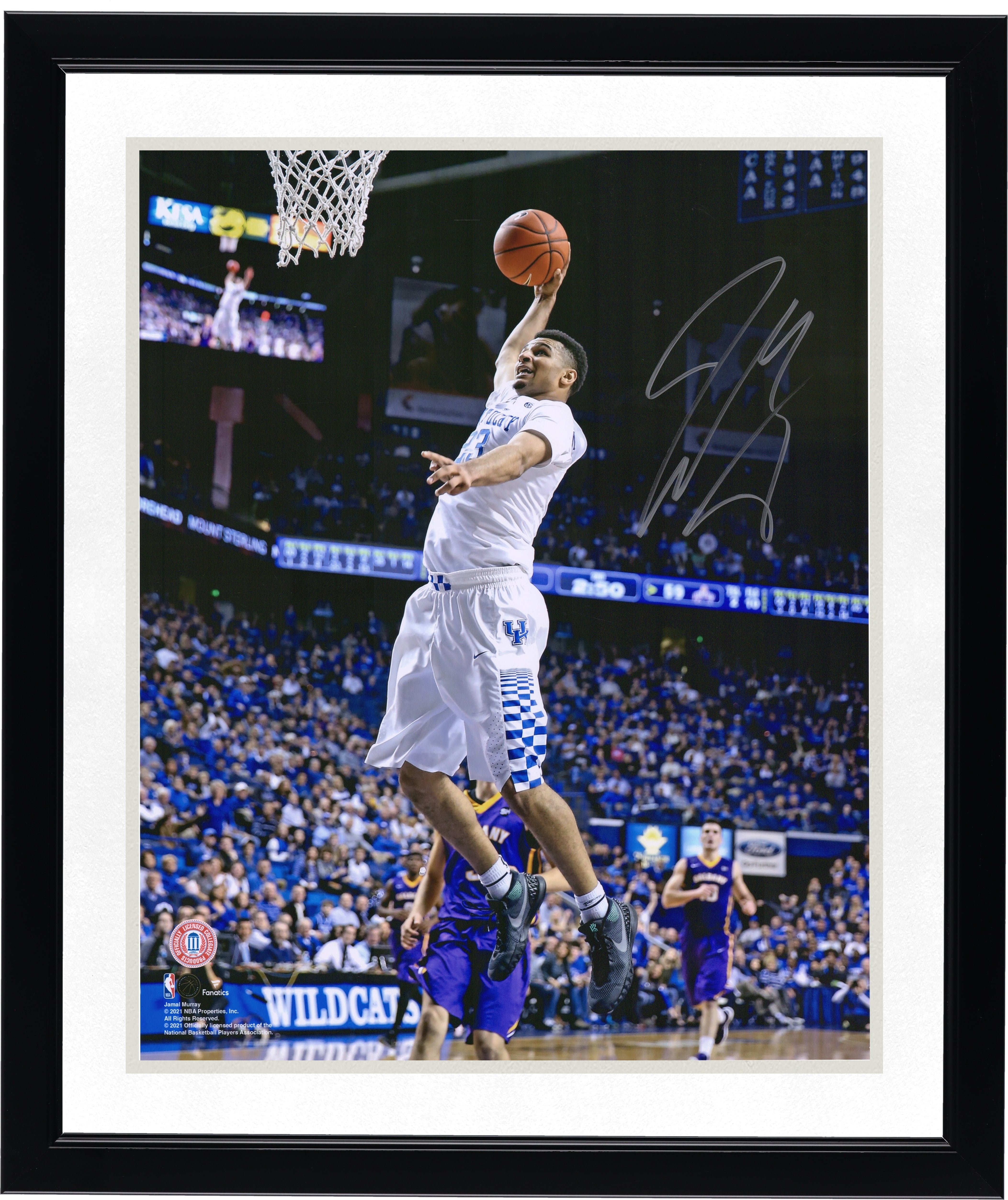 Photo dédicacée de Jamal Murray (Kentucky Wildcats) - Dunk en blanc (40,6 x 50,8 cm)