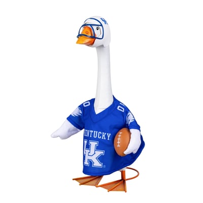 Kentucky Wildcats Game Day Porch Goose Uniform Outfit Set