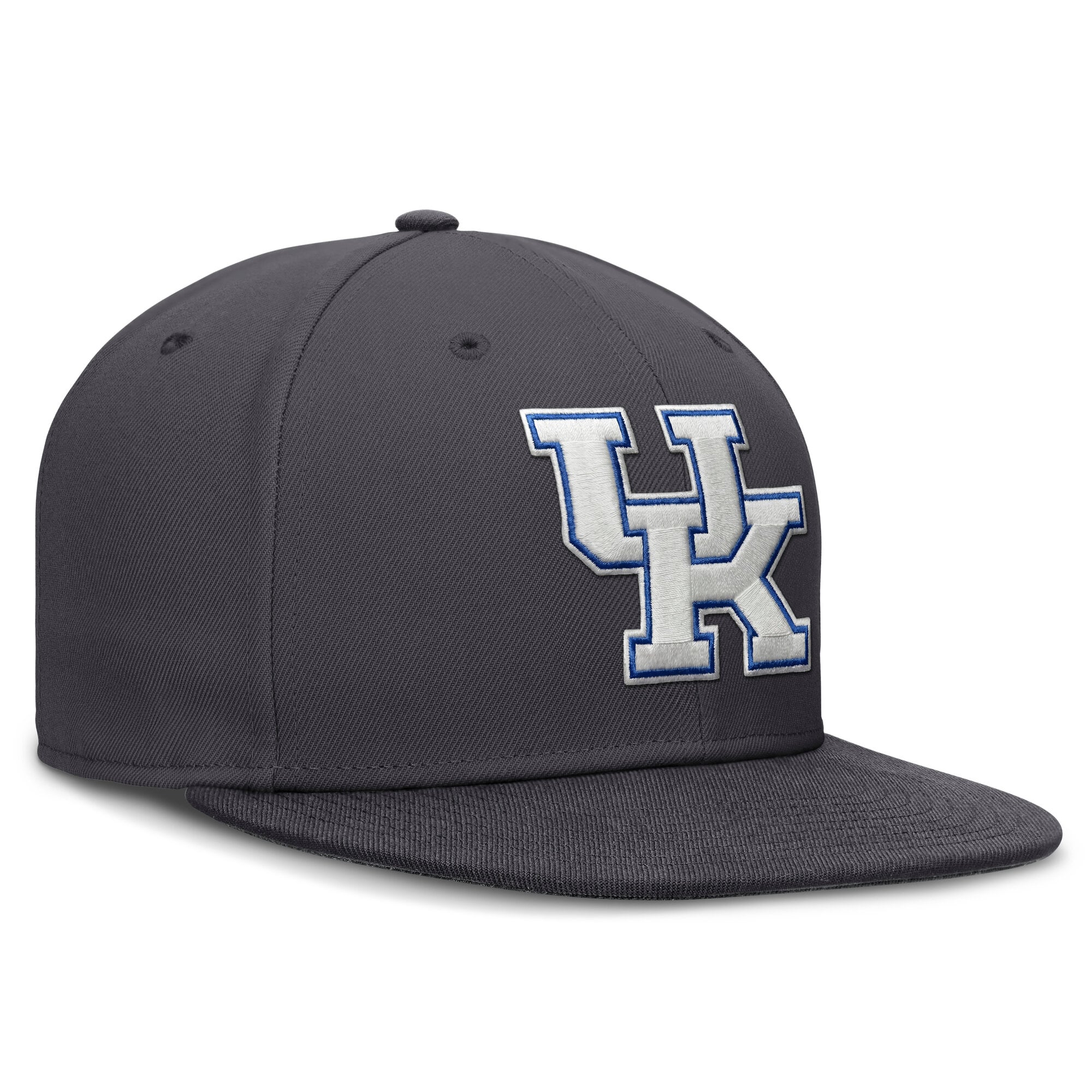 Men's Nike Anthracite Kentucky Wildcats Pro Dri-FIT Fitted Hat