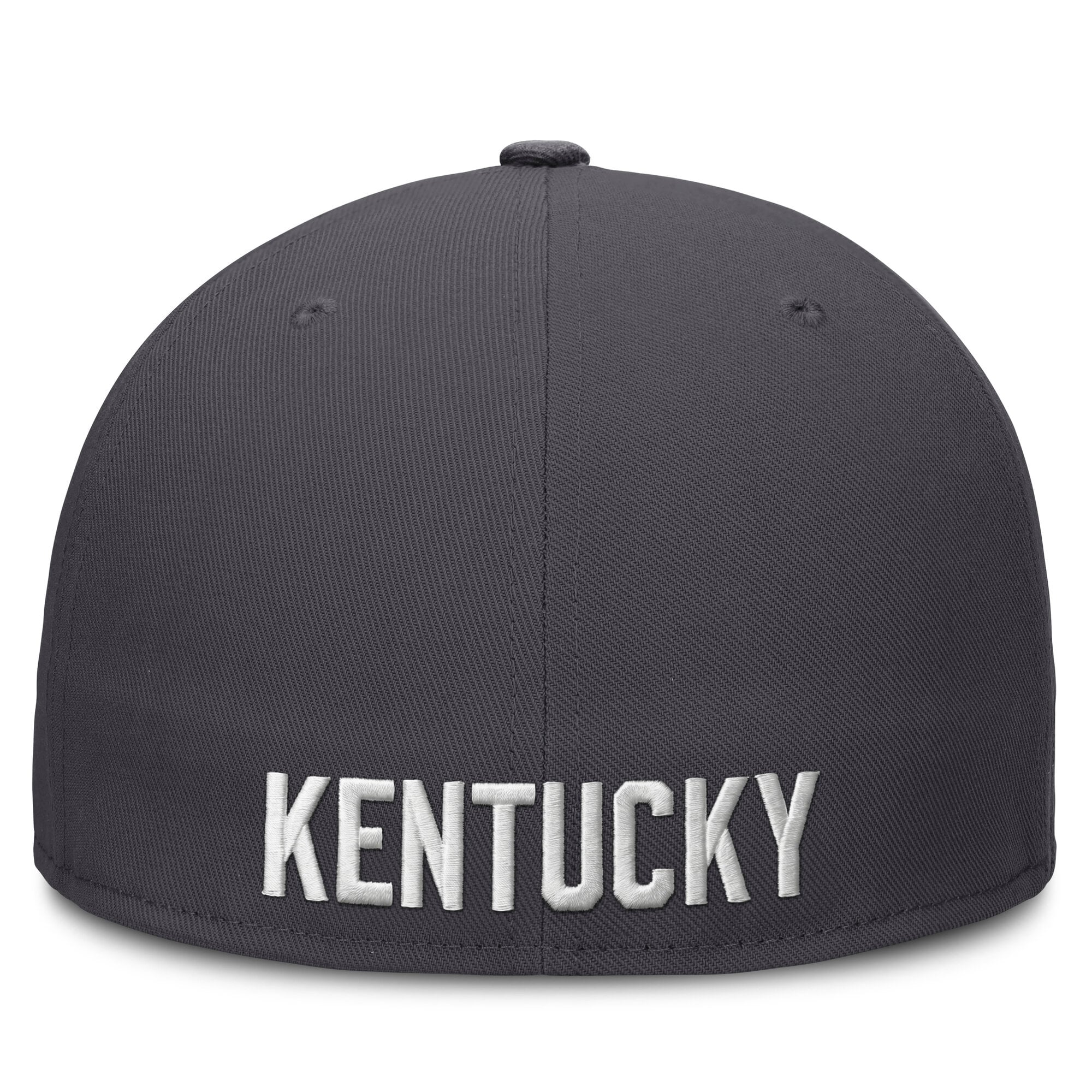 Men's Nike Anthracite Kentucky Wildcats Pro Dri-FIT Fitted Hat