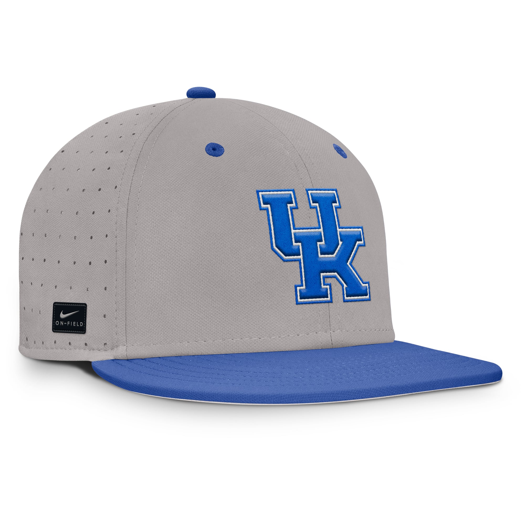 Casquette ajustée Nike Royal Kentucky Wildcats Dugout True Dri-FIT pour homme