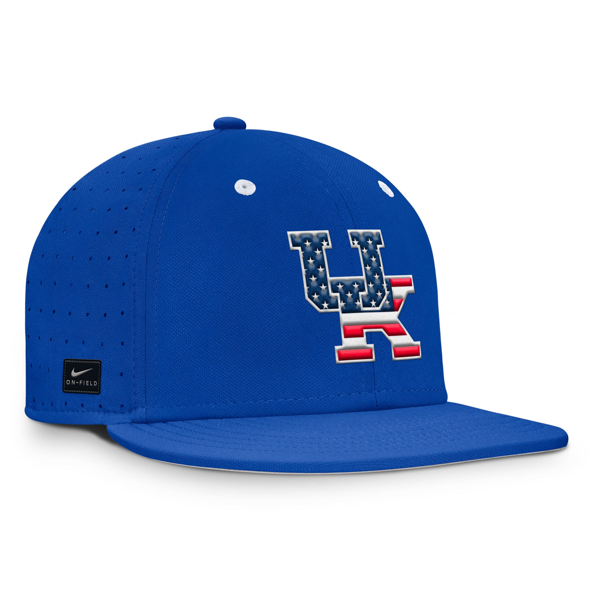 Casquette ajustée Nike Royal Kentucky Wildcats Dugout True Dri-FIT pour homme