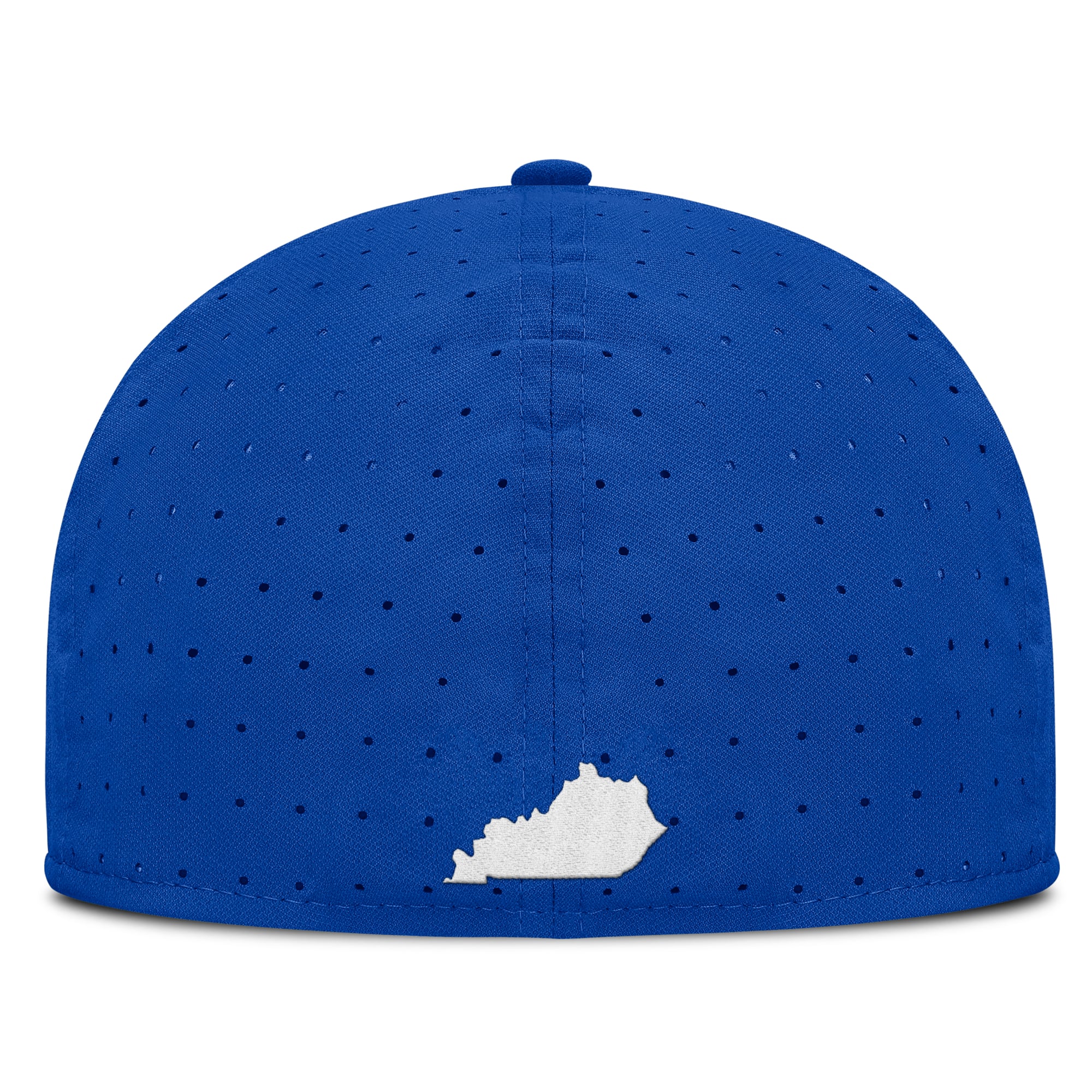 Casquette ajustée Nike Royal Kentucky Wildcats Dugout True Dri-FIT pour homme