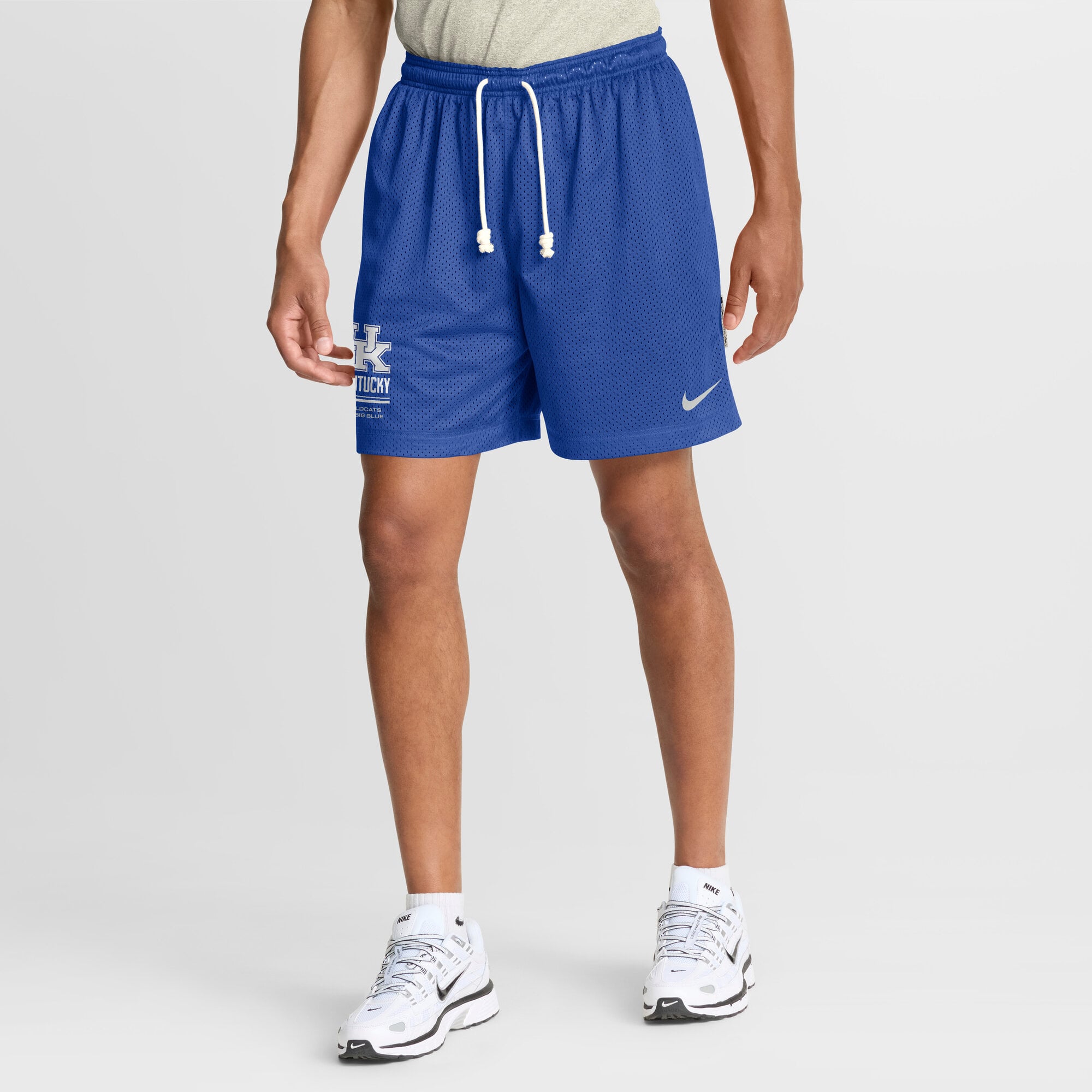 Men's Nike Royal/Anthracite Kentucky Wildcats 2026 Sideline Standard Issue Reversible Dri-FIT Shorts