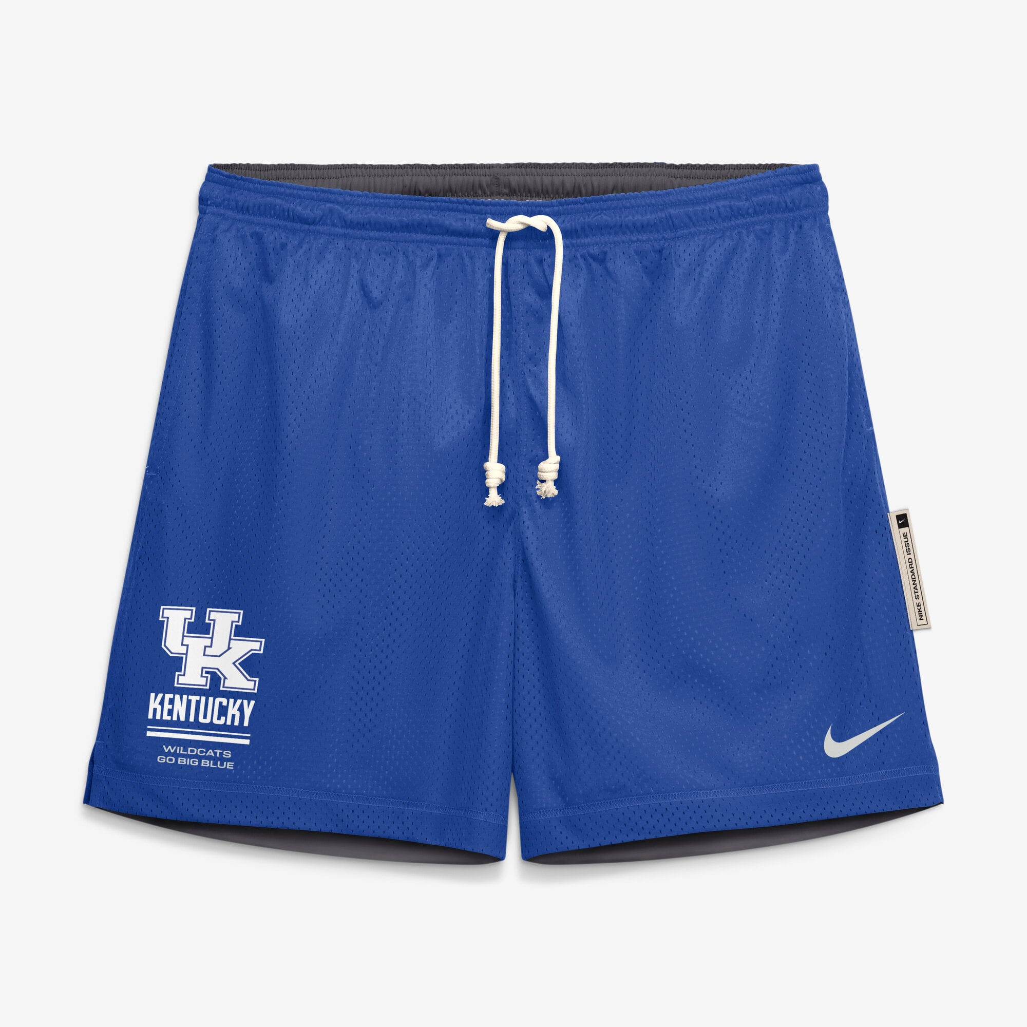 Men's Nike Royal/Anthracite Kentucky Wildcats 2026 Sideline Standard Issue Reversible Dri-FIT Shorts