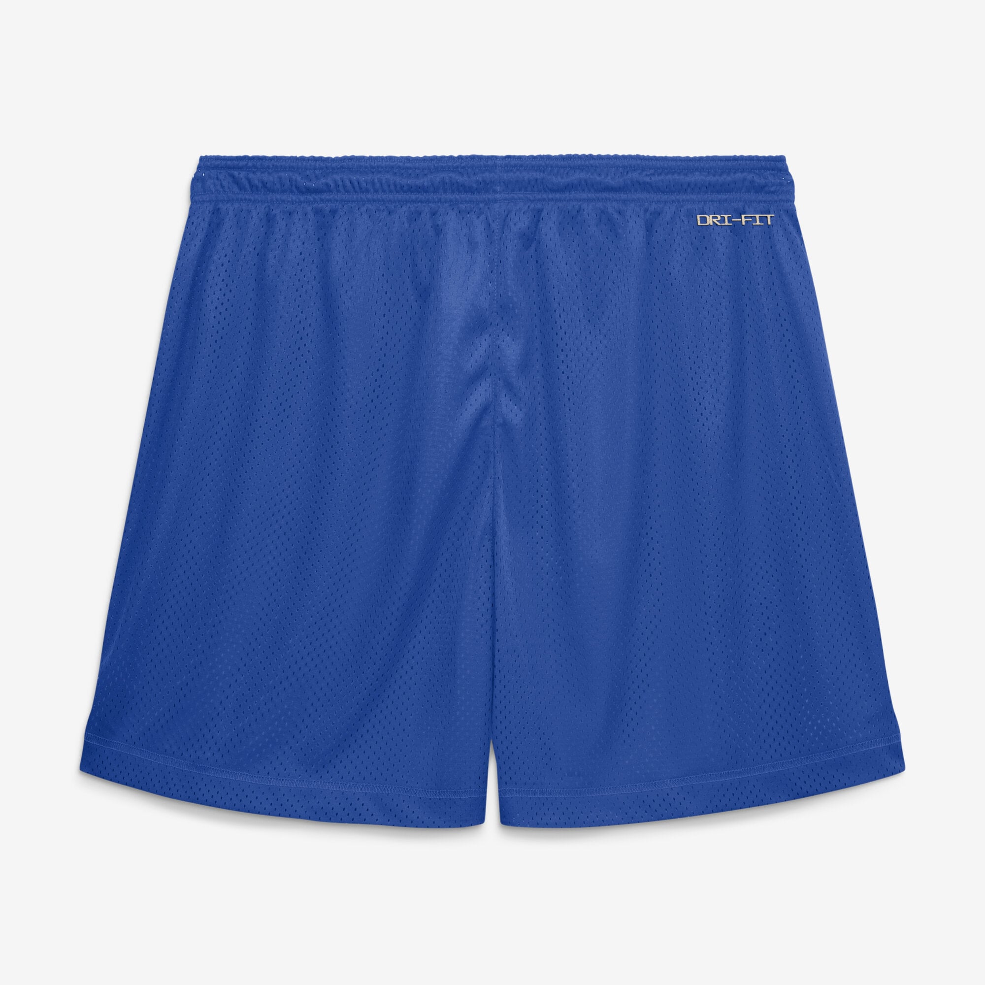 Men's Nike Royal/Anthracite Kentucky Wildcats 2026 Sideline Standard Issue Reversible Dri-FIT Shorts
