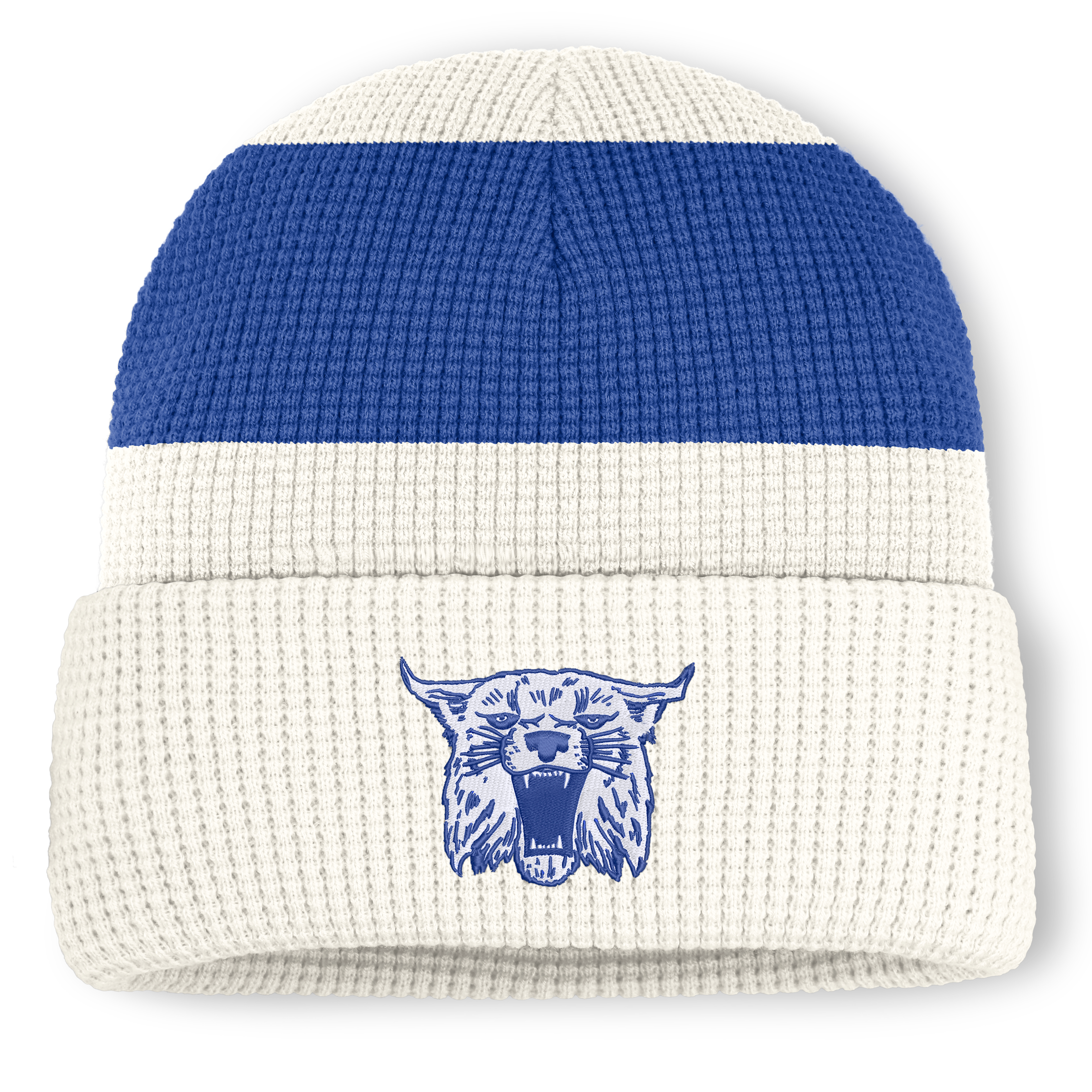 Bonnet unisexe Nike blanc Kentucky Wildcats Legacy Letter à revers