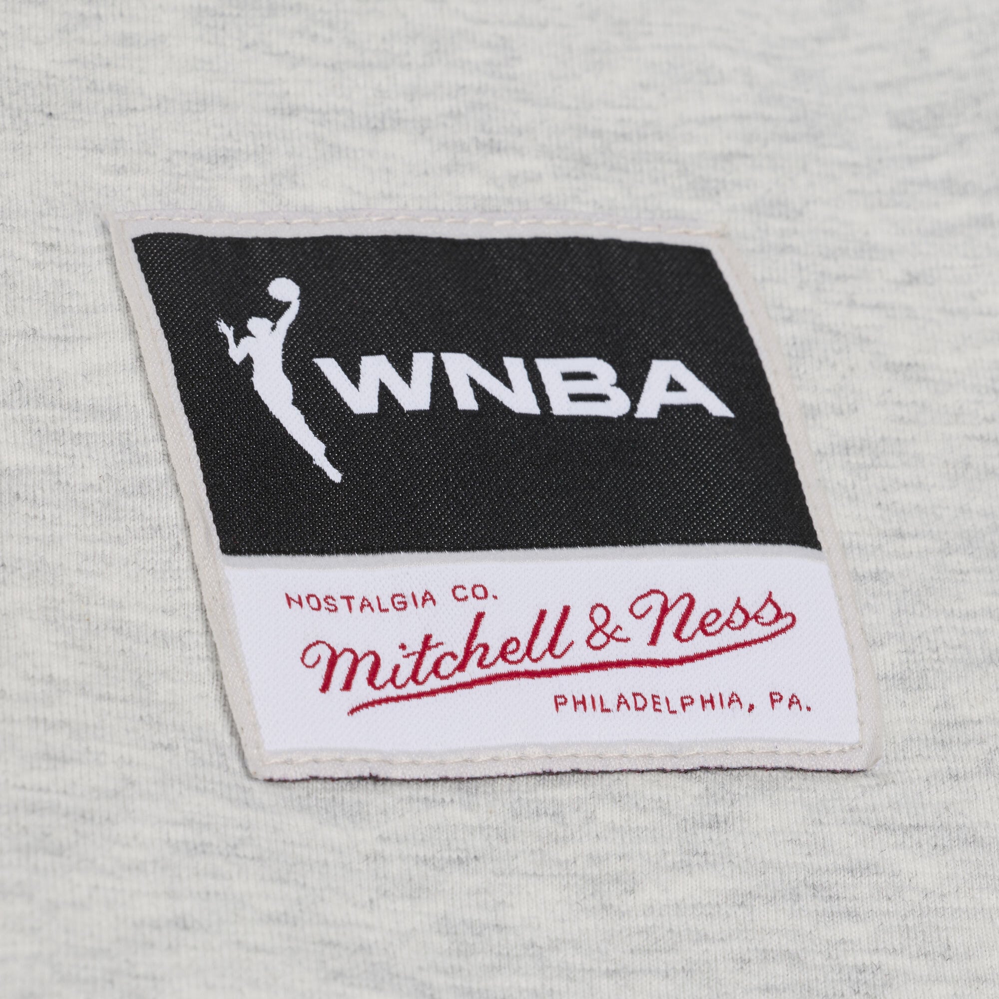 Men's Mitchell & Ness Silver Las Vegas Aces Logo Boxy T-Shirt
