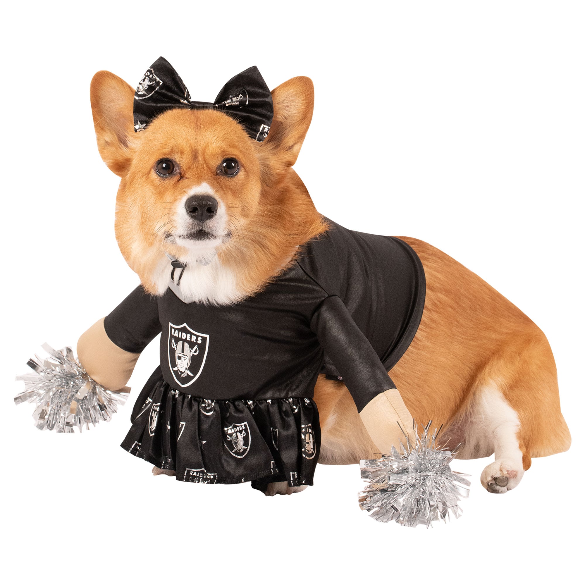 Costume de chien d'encouragement des Raiders Las Vegas