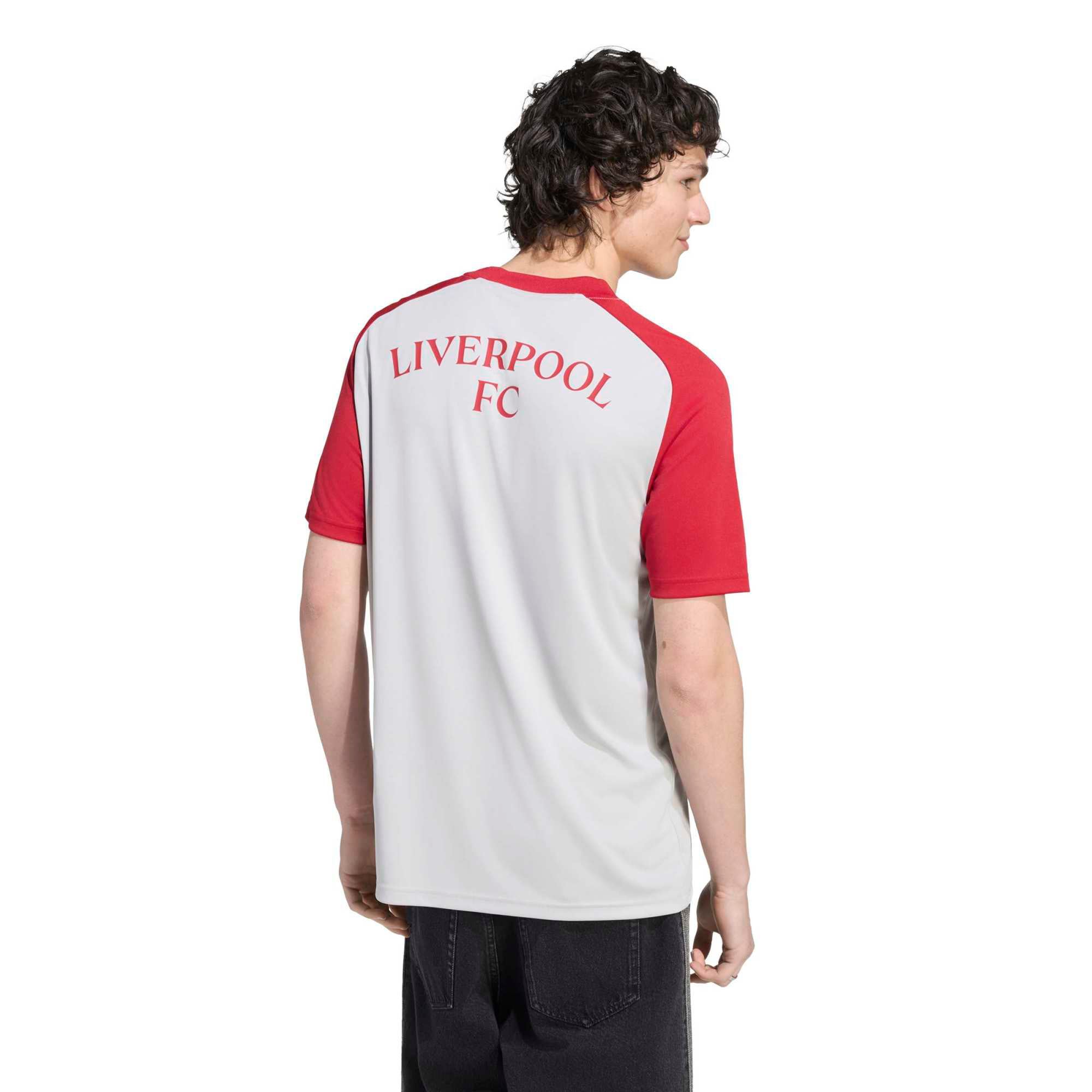Men's adidas Gray/Red Liverpool 2026/27 Away Pre-Match Top