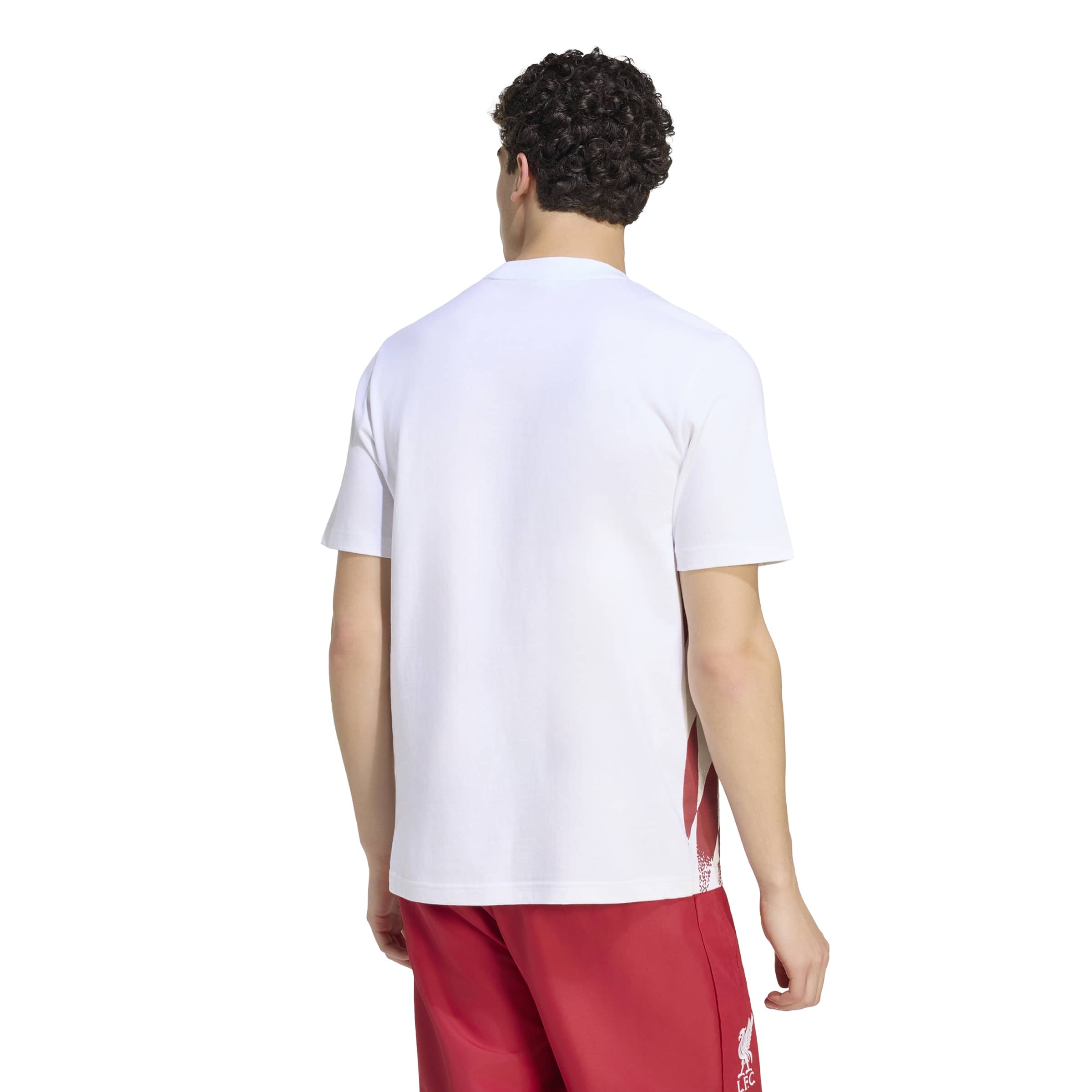 T-shirt graphique adidas blanc Liverpool Stadium Culturewear pour homme