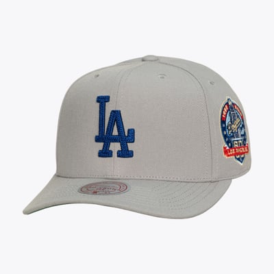  Los Angeles Dodgers Mitchell & Ness Secondary Pro Snapback Hat - Gray
