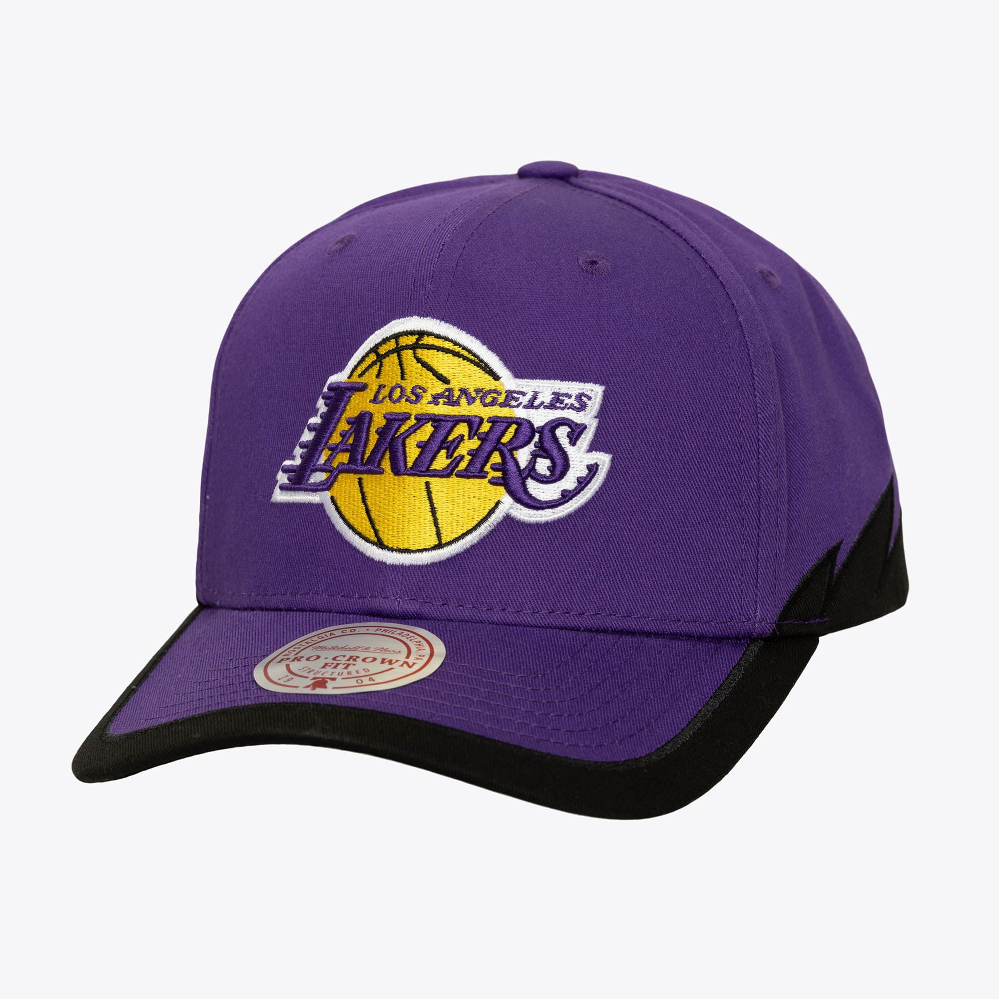 Los Angeles Lakers Purple Color Up Pro Crown Snapback Hat