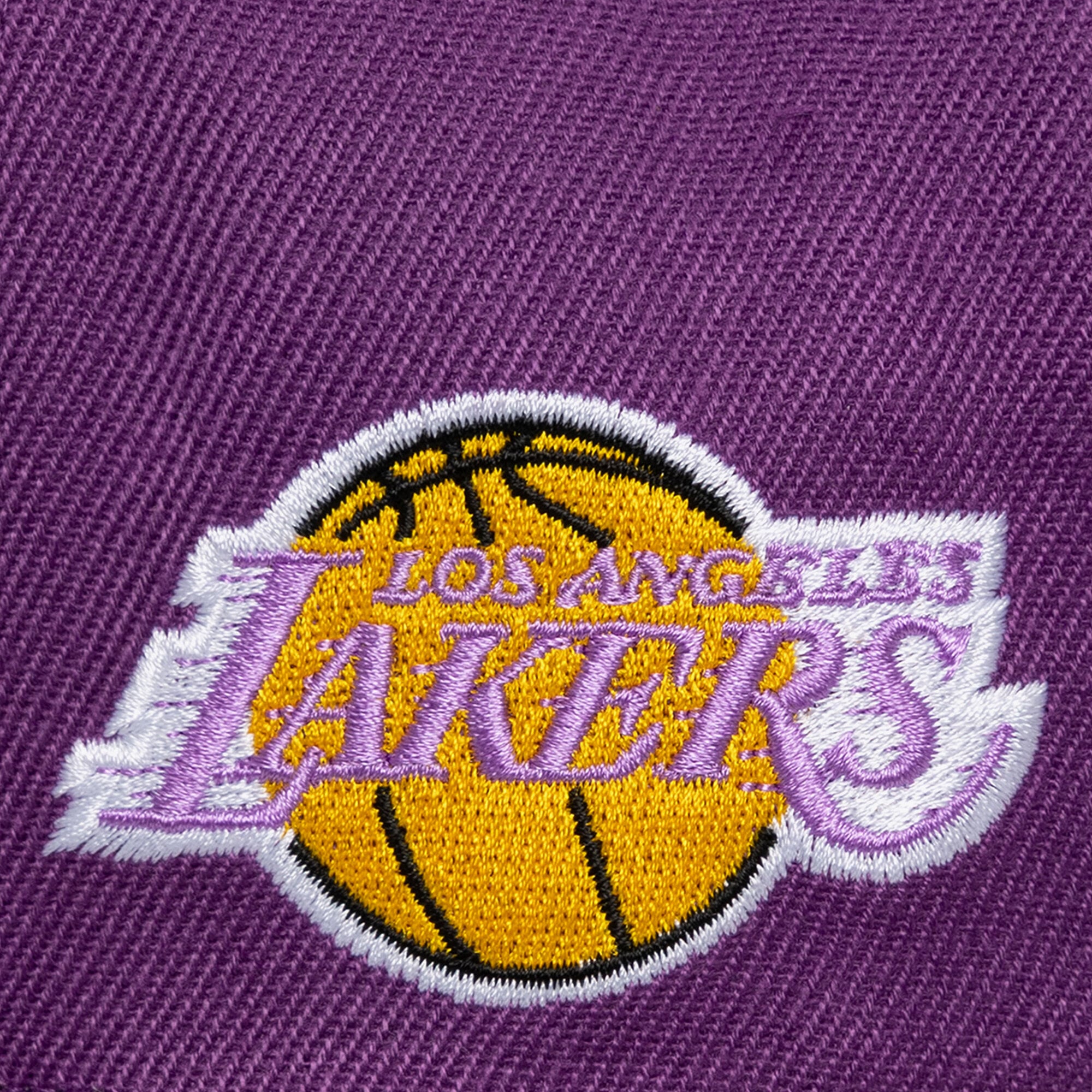 Men's Mitchell & Ness Purple Los Angeles Lakers Head Coach Snapback Hat