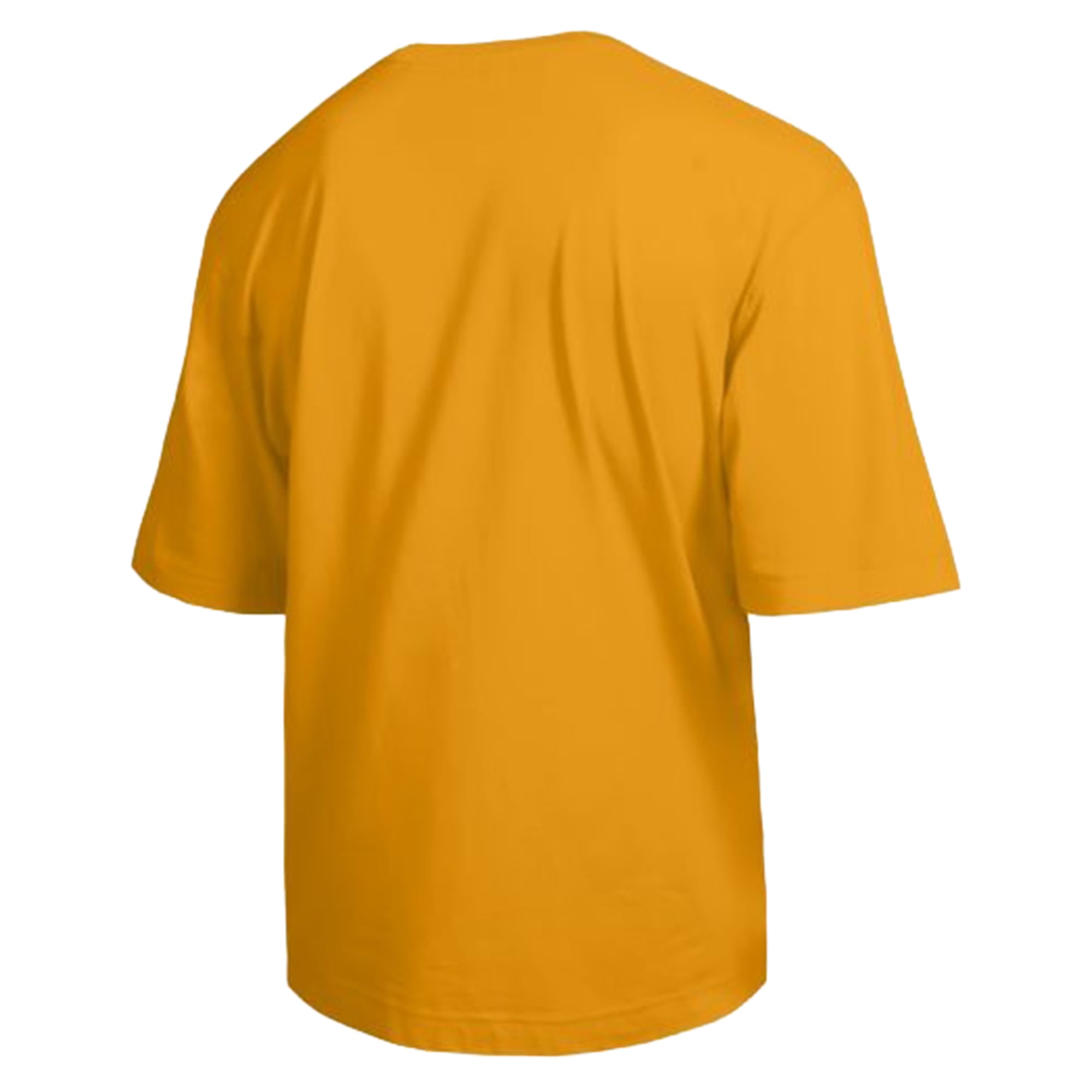 Men's Champion  Gold LSU Tigers Scholar All-Star T-Shirt