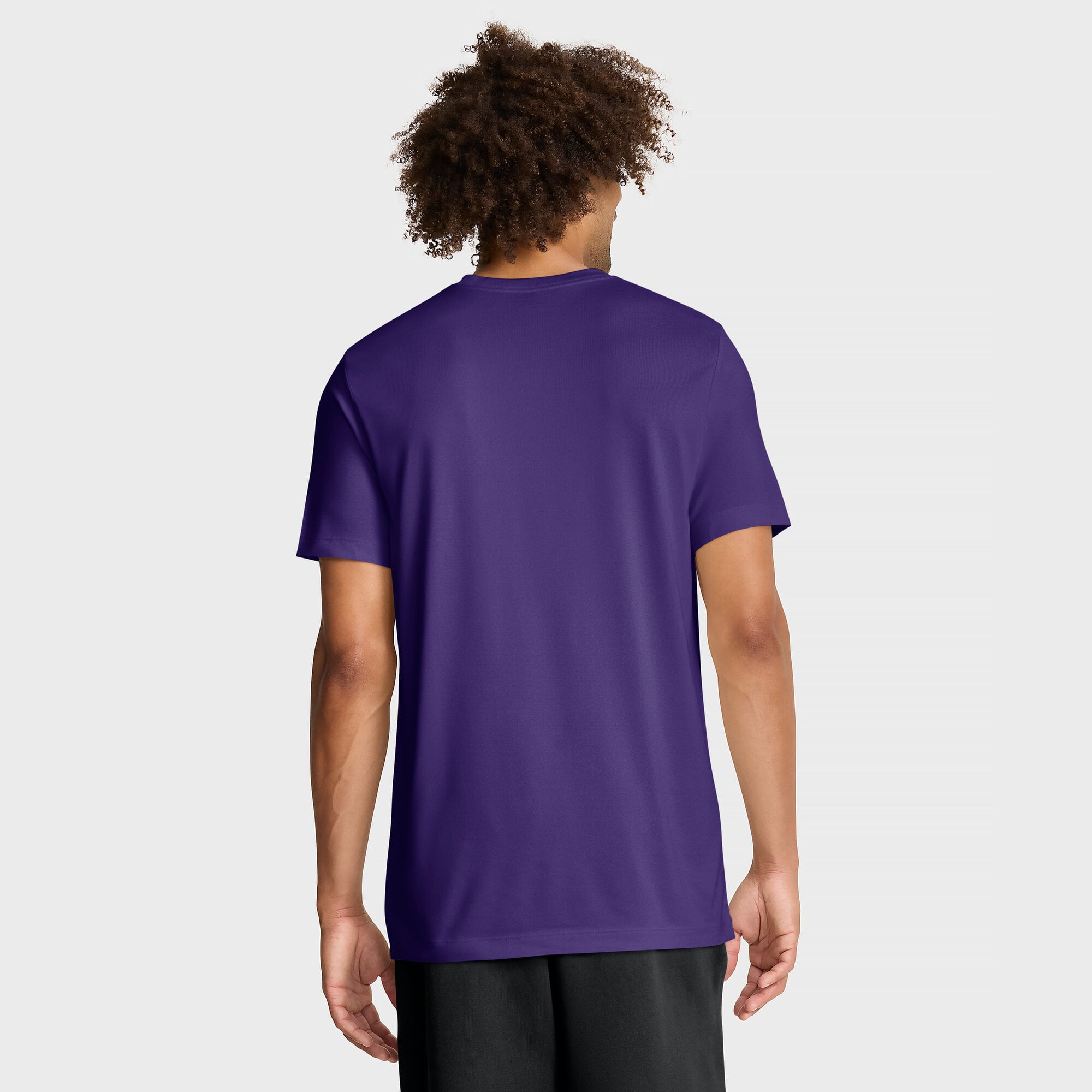 Men's Nike Purple LSU Tigers Primetime Baseball Icon Legend Dri-FIT T-Shirt