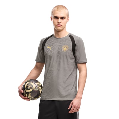 Manchester City Puma Training Jersey - Dark Grey