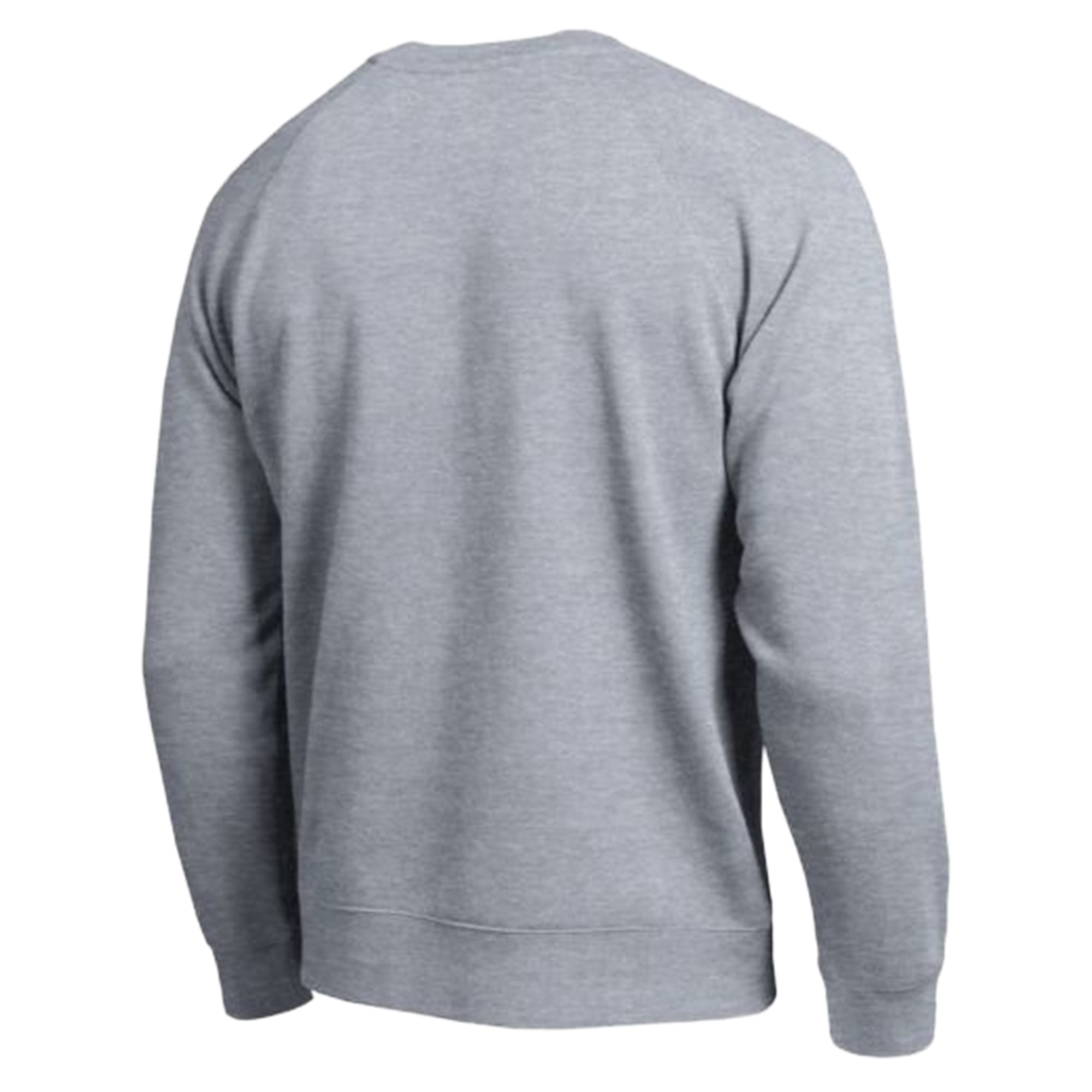 Sweat-shirt Champion All-Star gris chiné pour homme, Maryland Terrapins