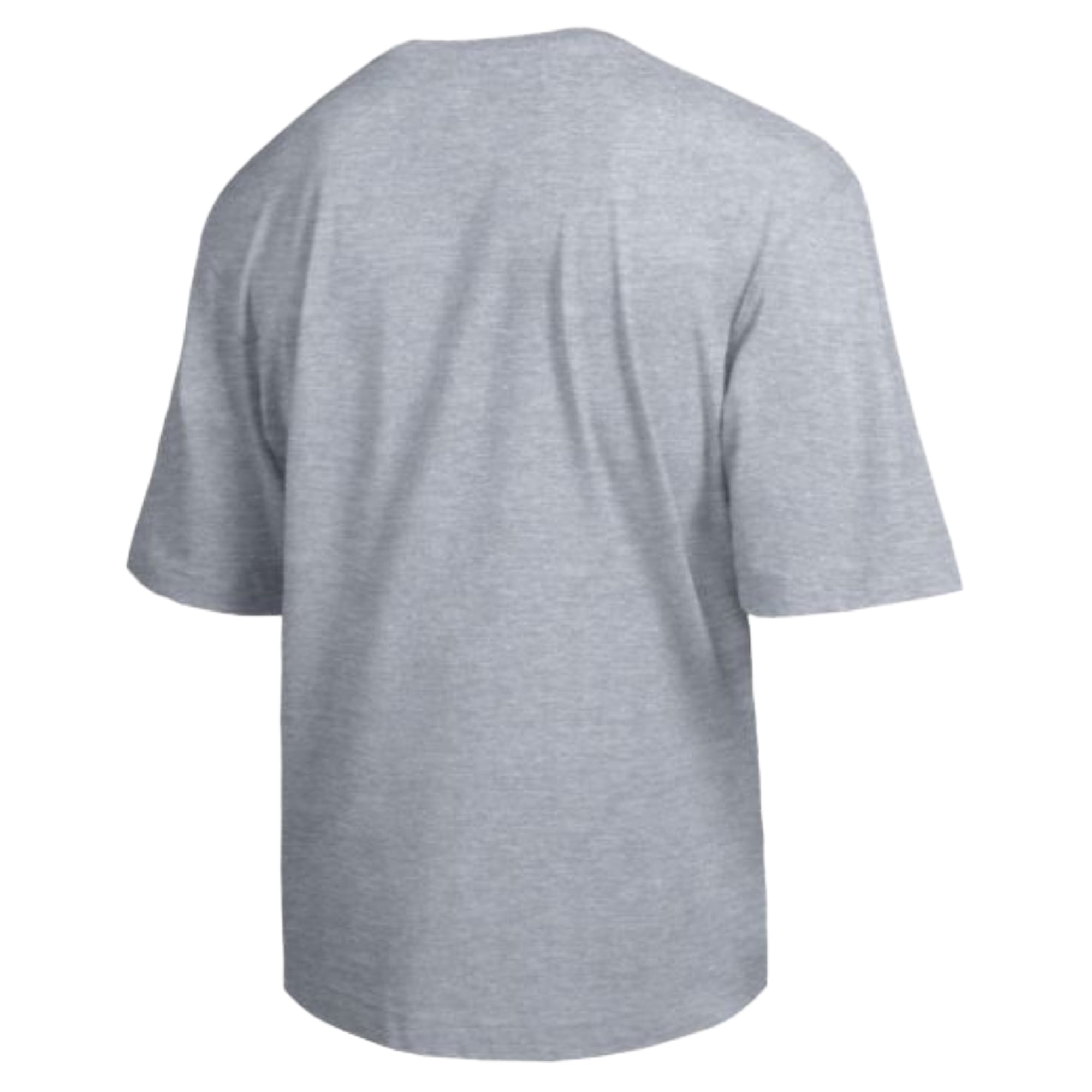 Men's Champion Heather Gray Memphis Tigers Weathered Team T-Shirt