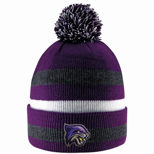 Bethel Wildcats Hats | Bethel University Apparel & Spirit Store display picture 2