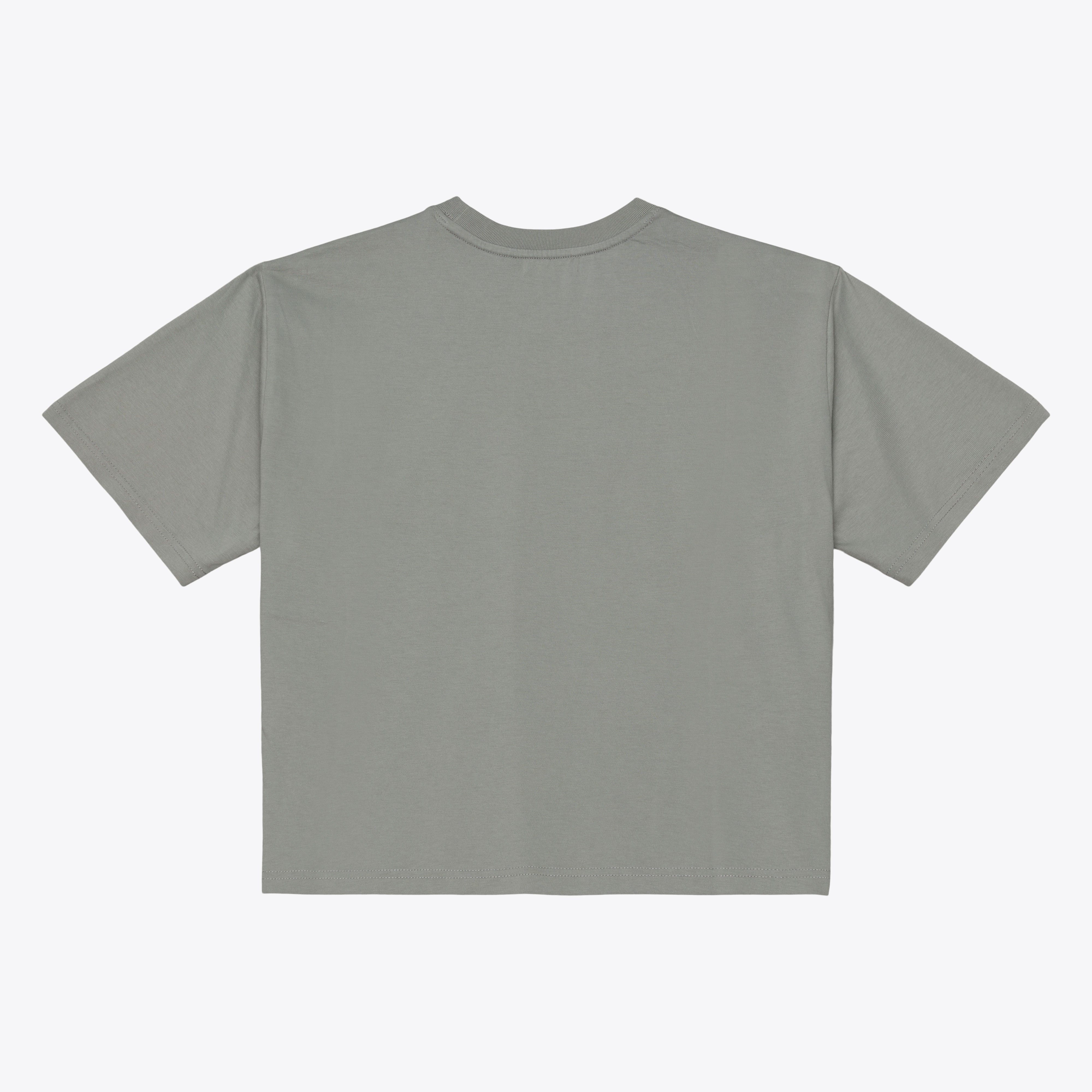 Women's Mitchell & Ness  Gray Miami Dolphins Street Graphic Boxy Cropped T-Shirt