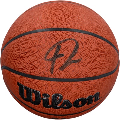 Giannis Antetokounmpo Miami Heat Autographed Fanatics Authentic Wilson Authentic Series Indoor/Outdoor Basketball 