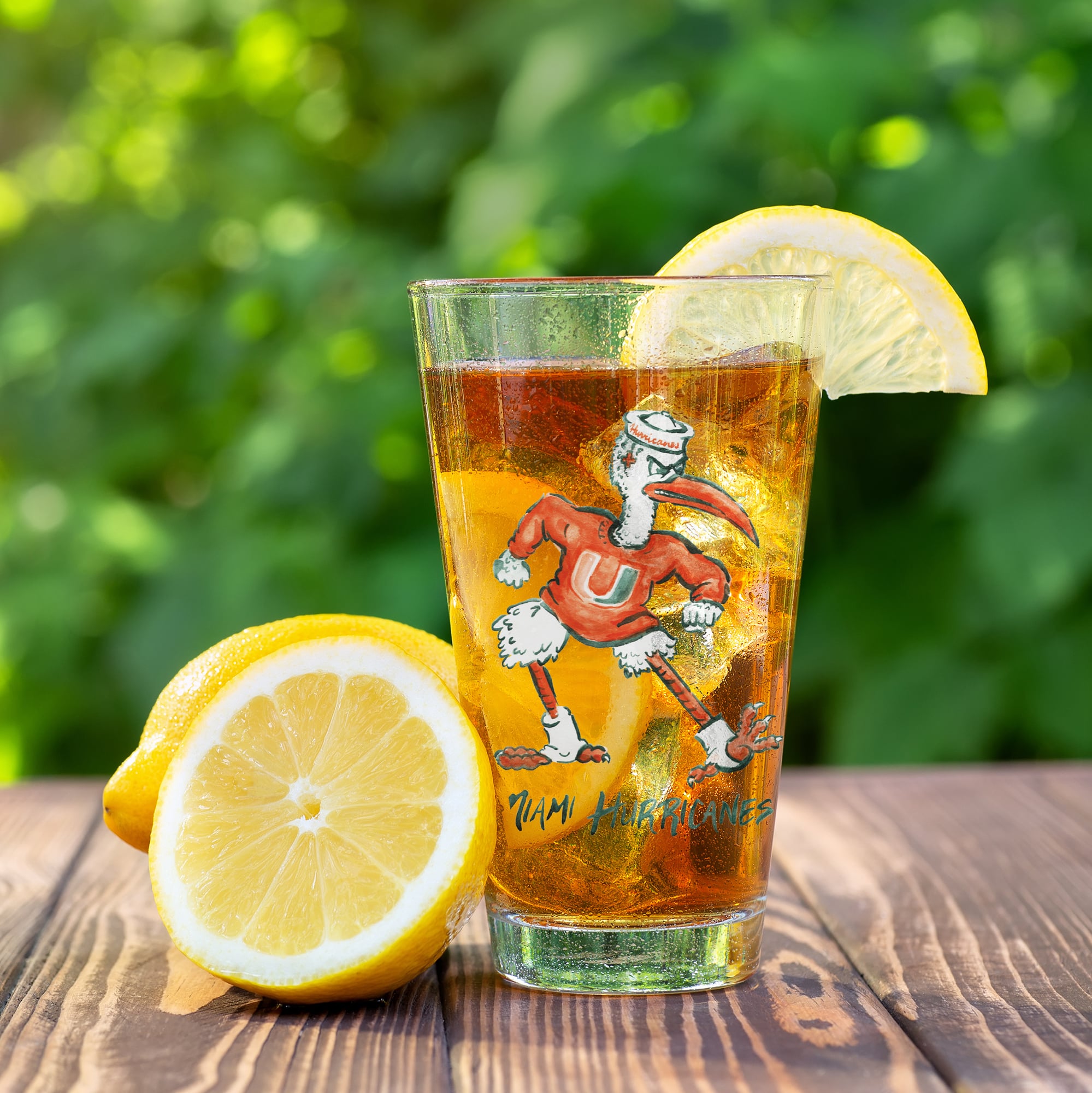 Ensemble de 2 verres à bière Indigo Falls Miami Hurricanes à l'effigie de Laura Wilcox, la mascotte.