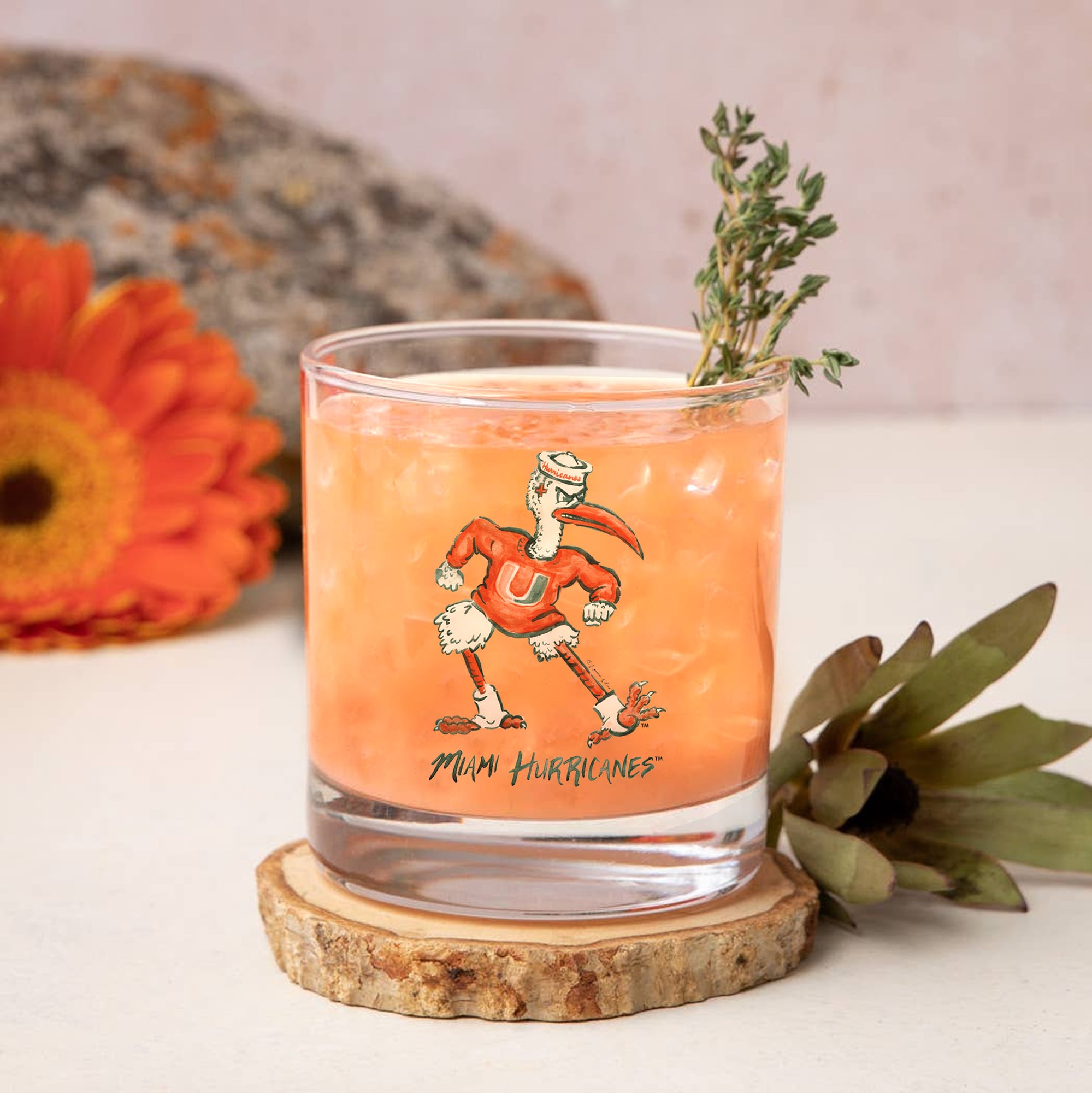 Ensemble de 2 verres à whisky Indigo Falls Miami Hurricanes, mascotte Laura Wilcox