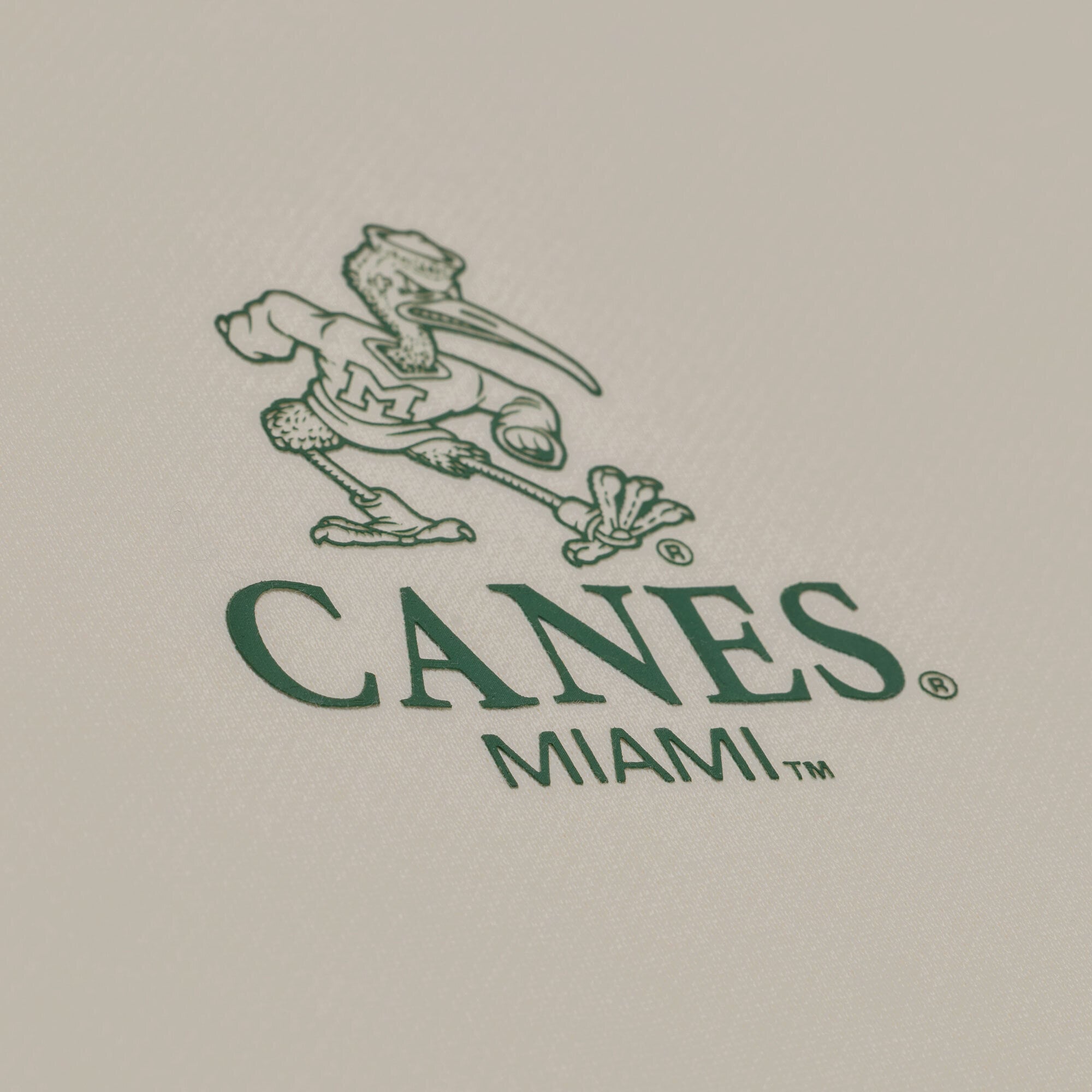 Sweat à capuche en polaire Mitchell & Ness crème Miami Hurricanes Core Icon pour homme