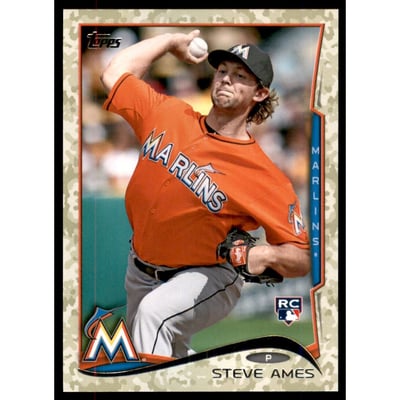 2014 Topps Camo #577 Steve Ames