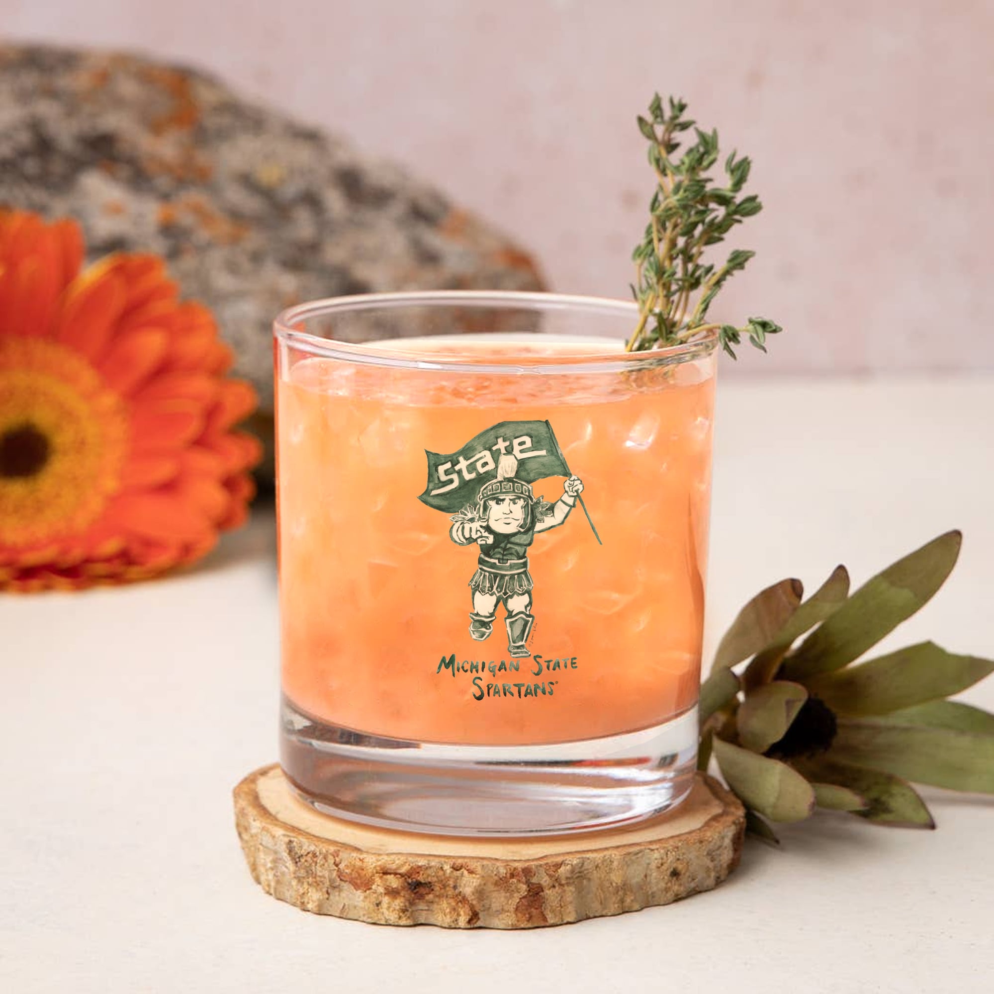 Ensemble de 2 verres à whisky à l'effigie de Laura Wilcox, mascotte des Spartans de l'Université d'État du Michigan, à Indigo Falls