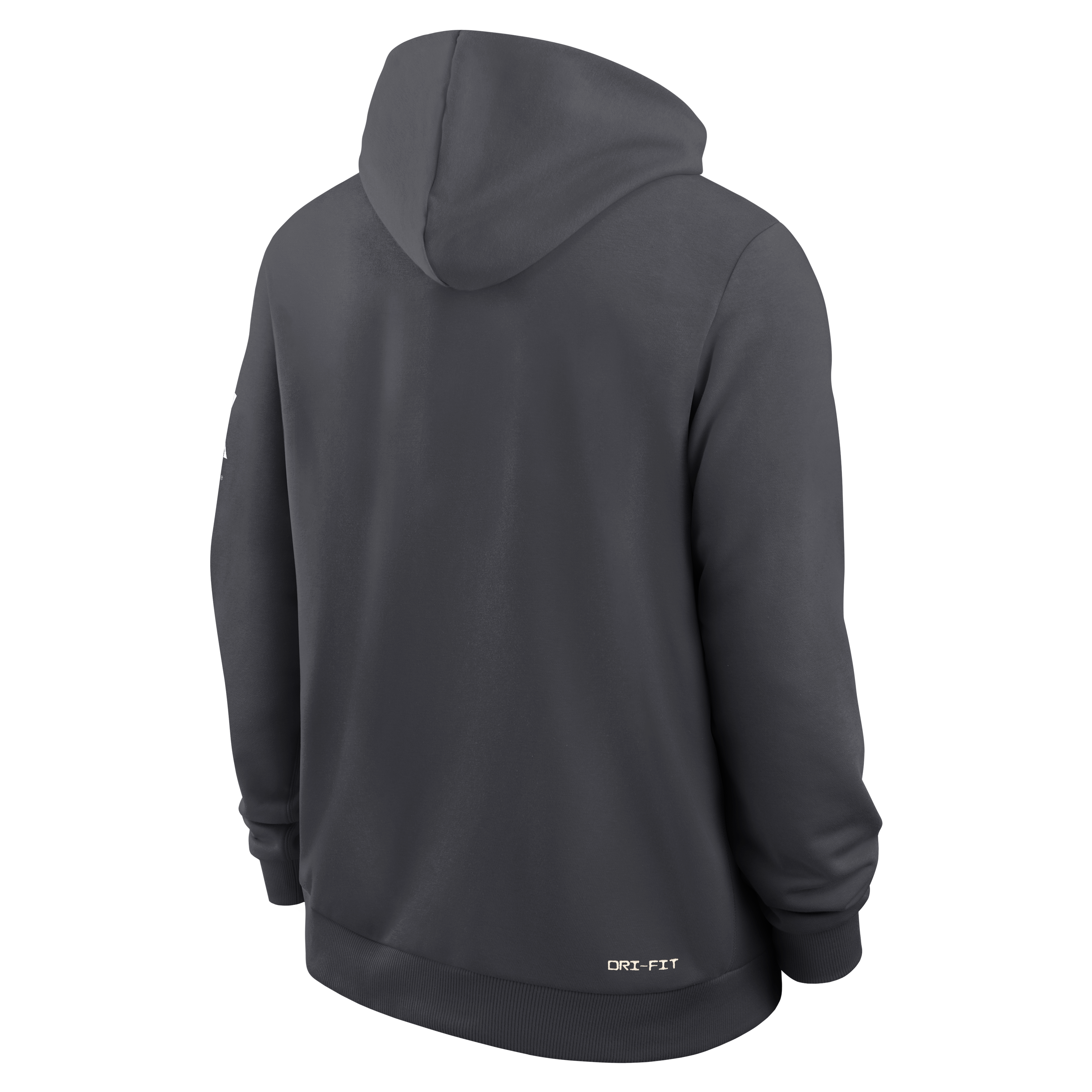 Sweat à capuche Nike vert Michigan State Spartans 2026 Sideline Standard Issue Dri-FIT pour homme
