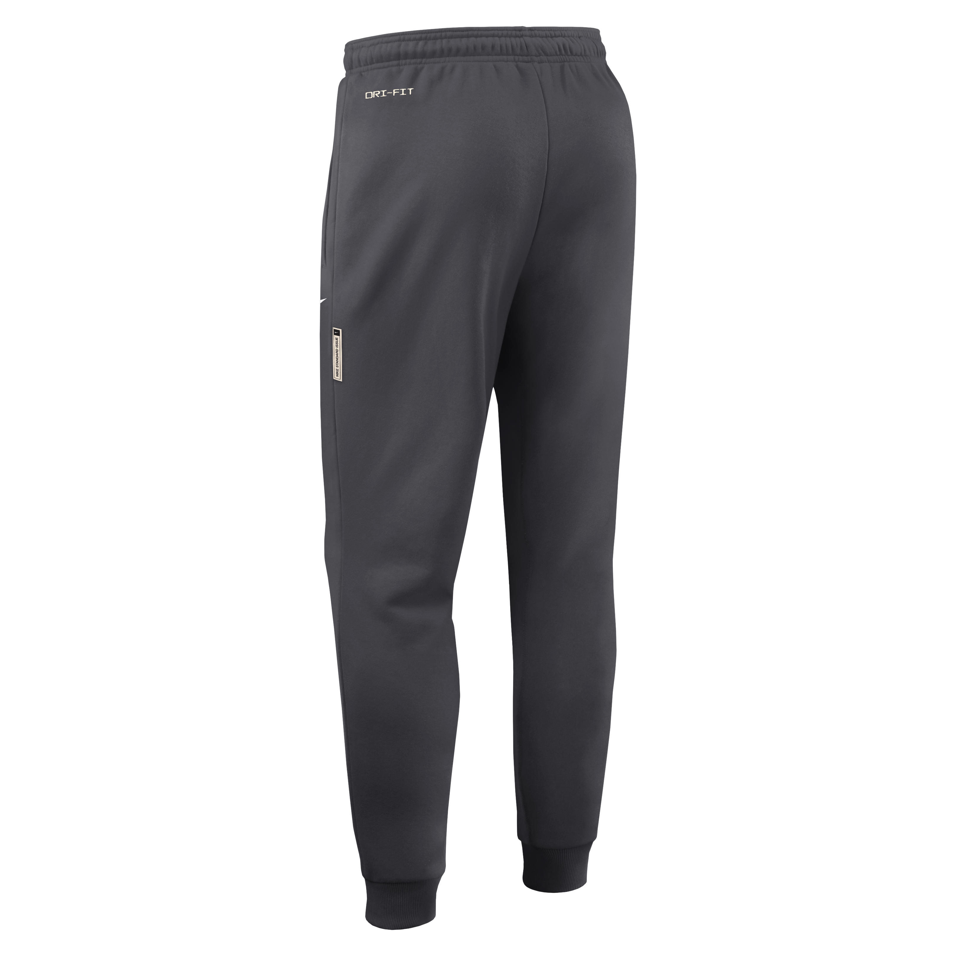 Men's Nike Anthracite Michigan State Spartans 2026 Sideline Standard Issue Dri-FIT Taper Pants