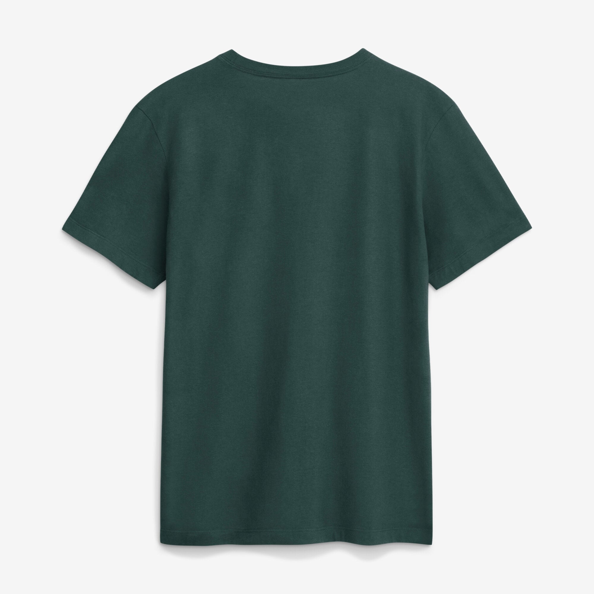 Men's Nike Green Michigan State Spartans Legacy Stacked Established T-Shirt