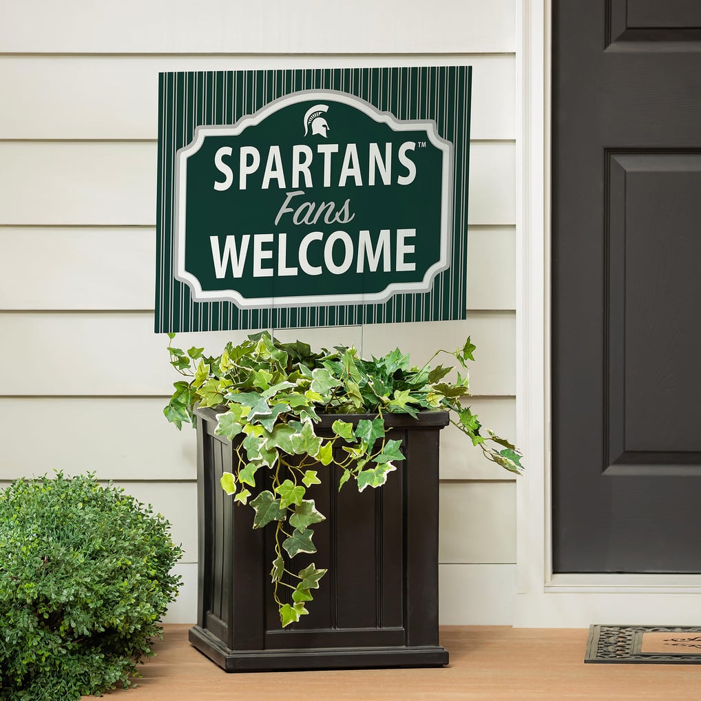 Michigan State Spartans 18